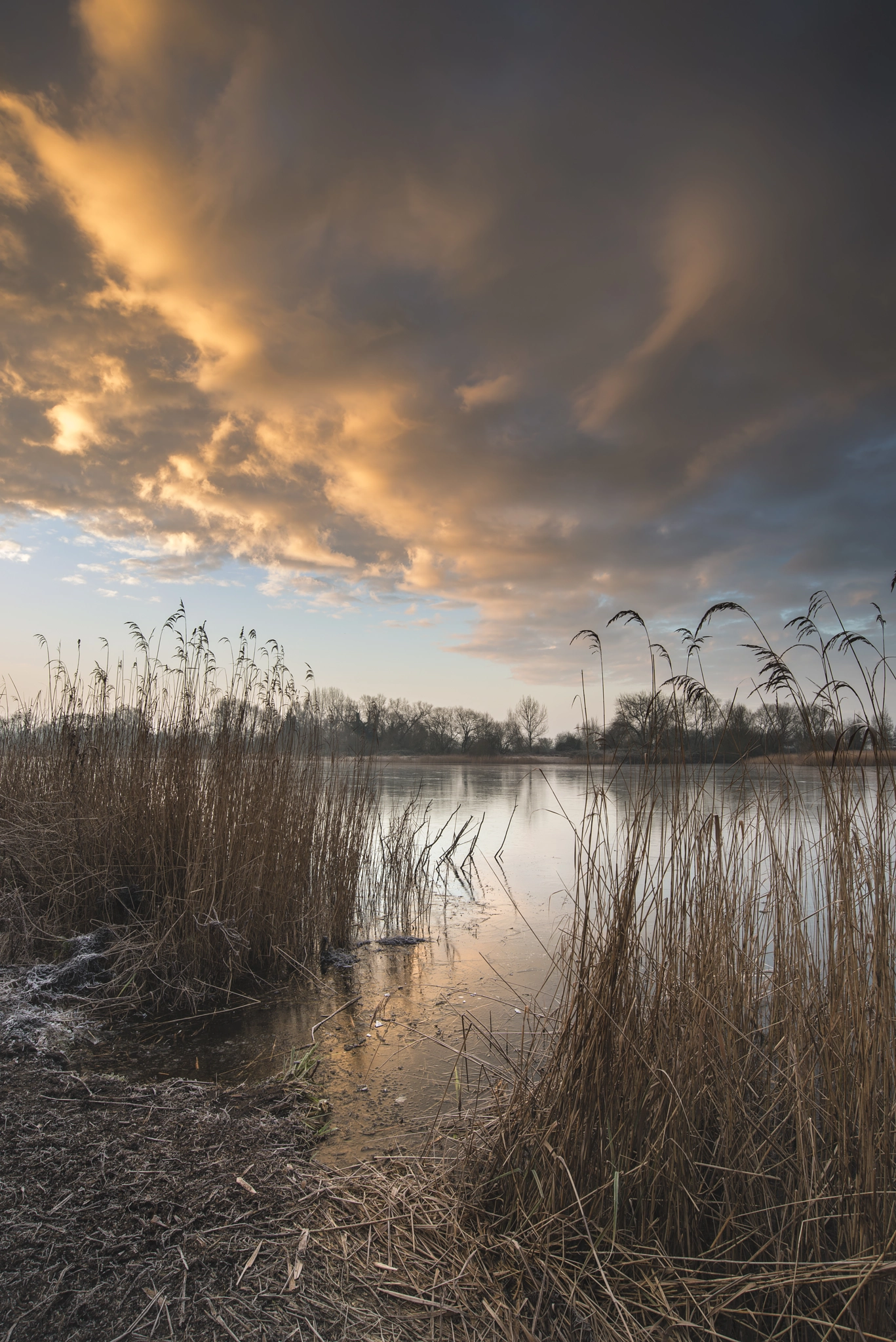 Nikon AF-S Nikkor 18-35mm F3.5-4.5G ED sample photo. Stunning colorful winter sunrise over reeds on lake in cotswolds photography