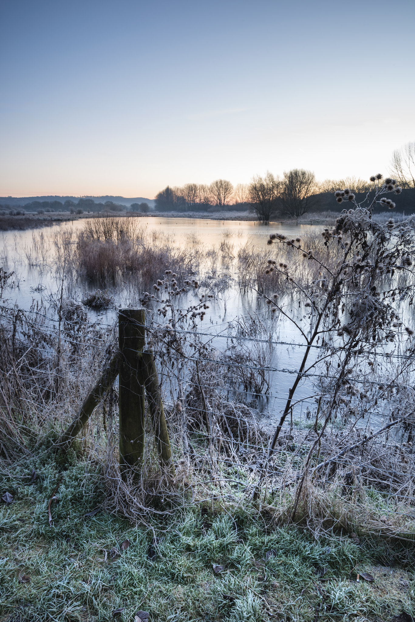 Nikon D800 sample photo. Beautiful vibrant english countryside lake image with frost and photography