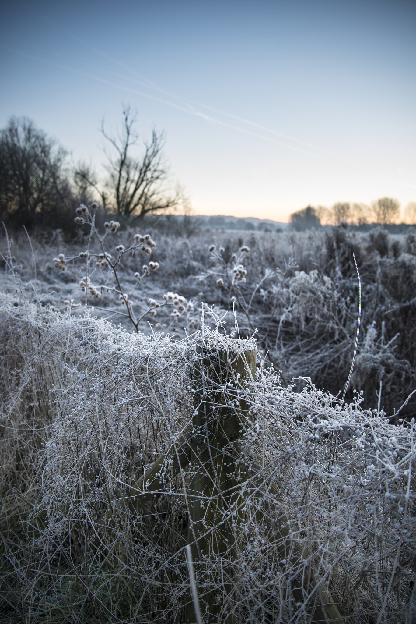 Nikon D800 sample photo. Beautiful vibrant english countryside lake image with frost and photography