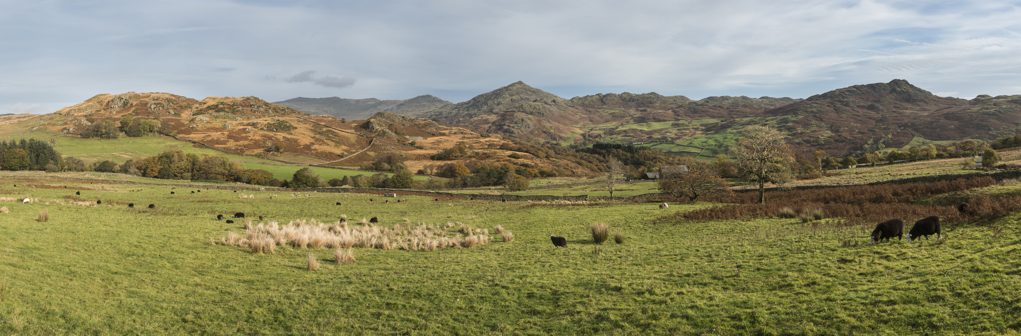 Nikon D800 sample photo. Stunning tourism landscape image of lake district during autumn photography