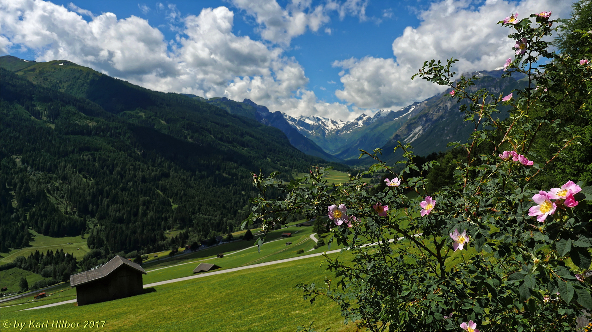 Panasonic Lumix DMC-GX8 sample photo. Frühling im gschnitztal, dxo photography