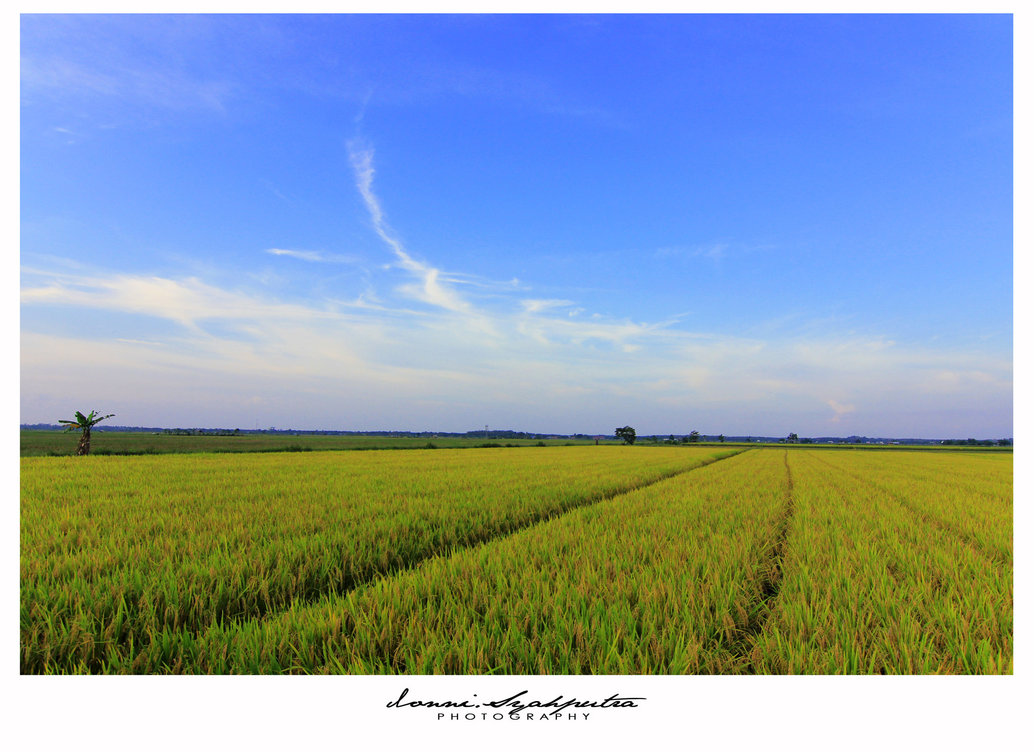 Tokina AT-X 12-28mm F4 Pro DX sample photo