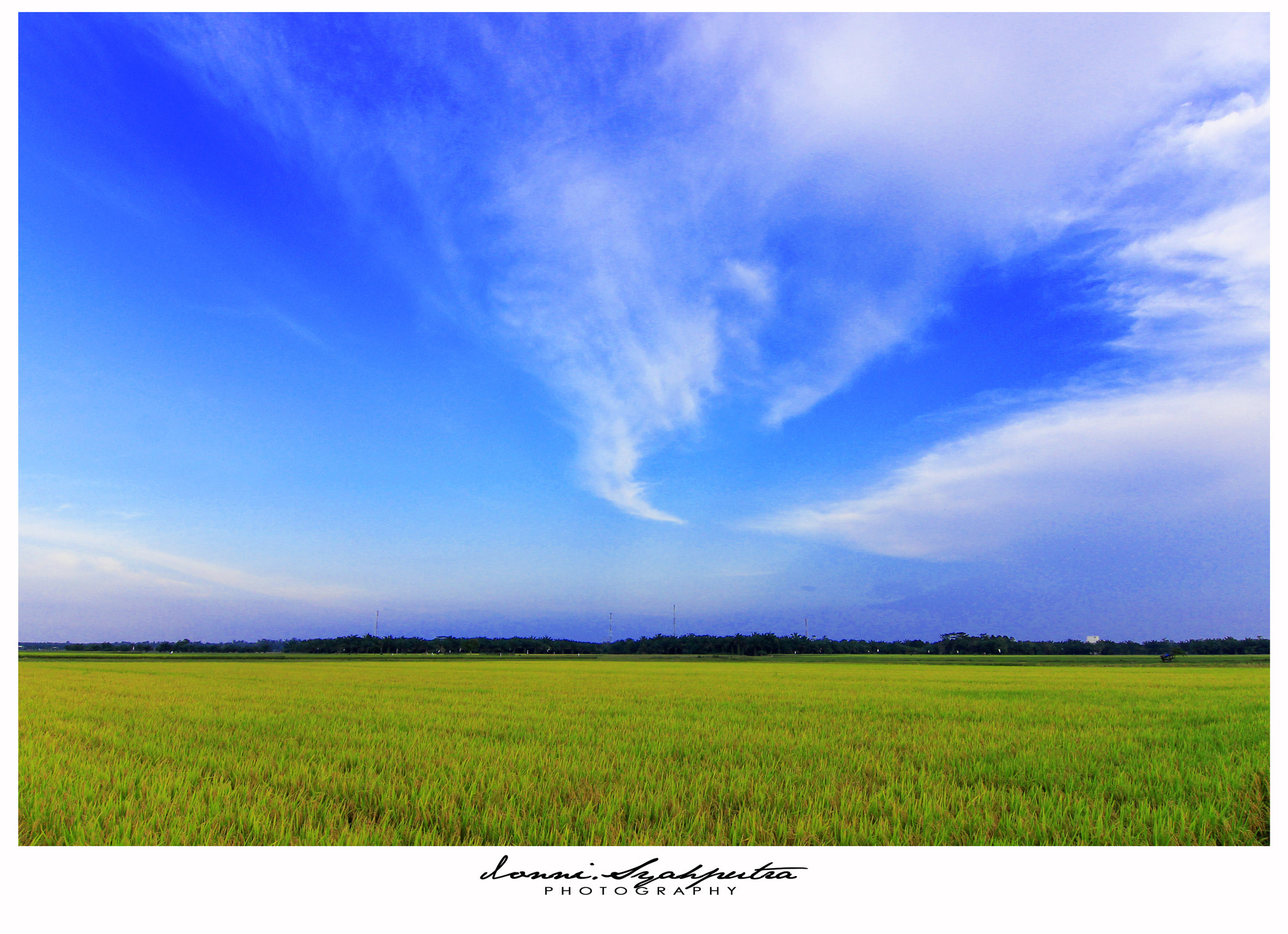 Tokina AT-X 12-28mm F4 Pro DX sample photo