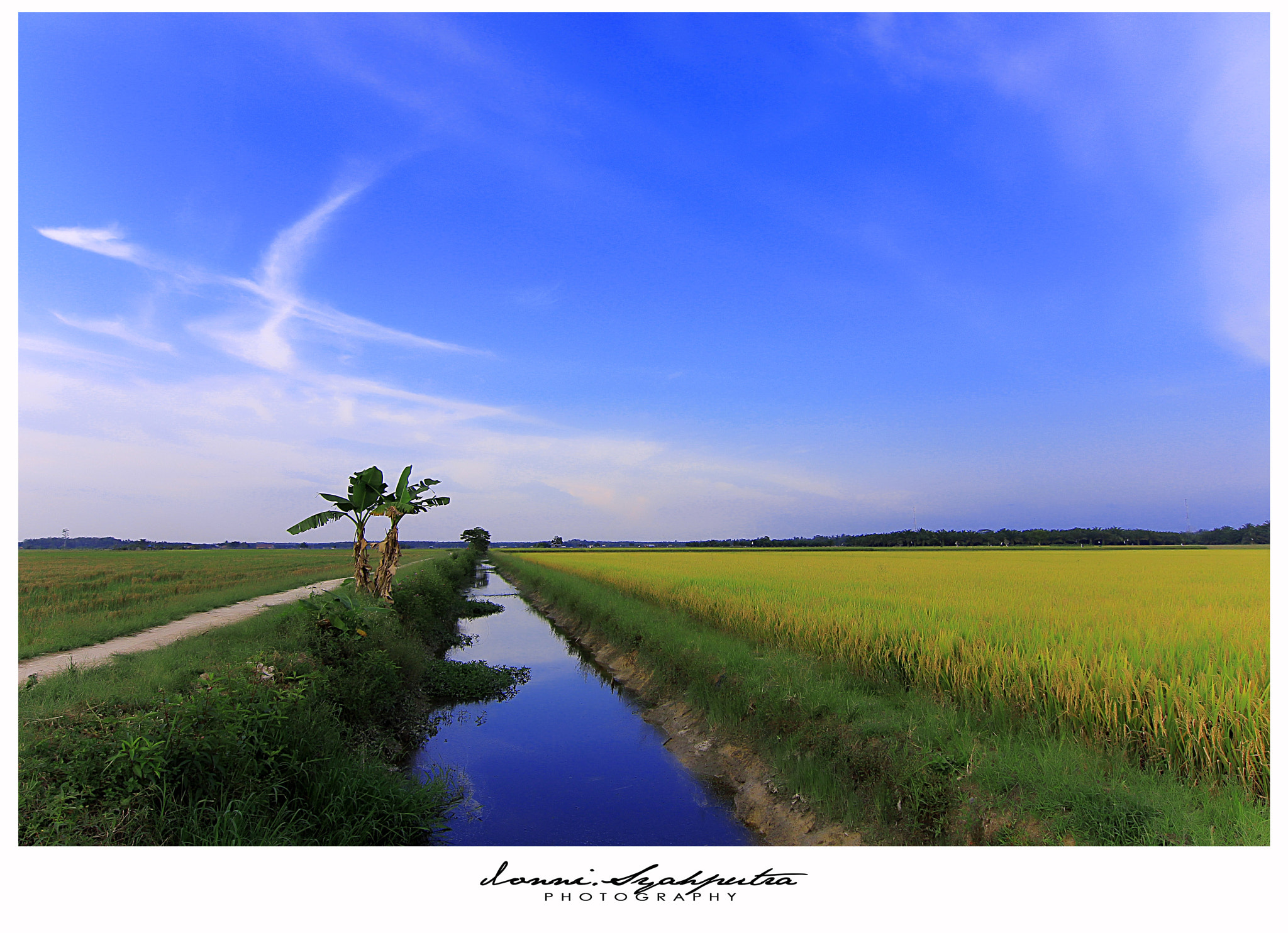 Tokina AT-X 12-28mm F4 Pro DX sample photo