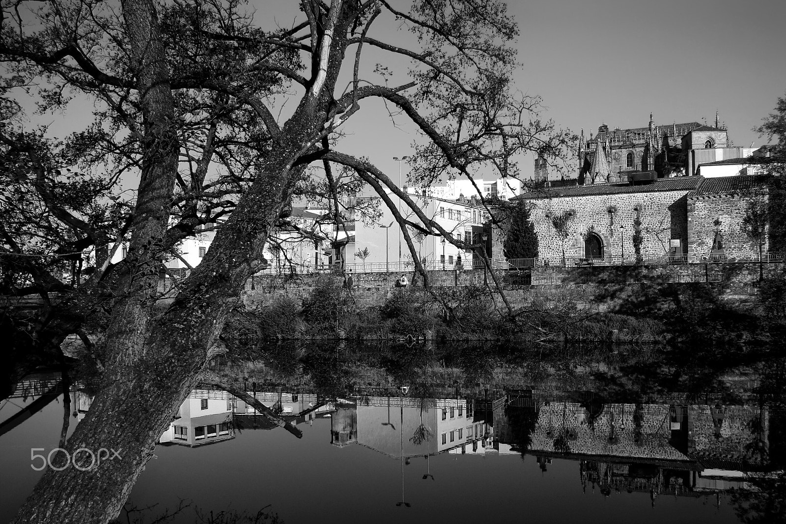 Canon EF-S 17-85mm F4-5.6 IS USM sample photo. Plasencia photography
