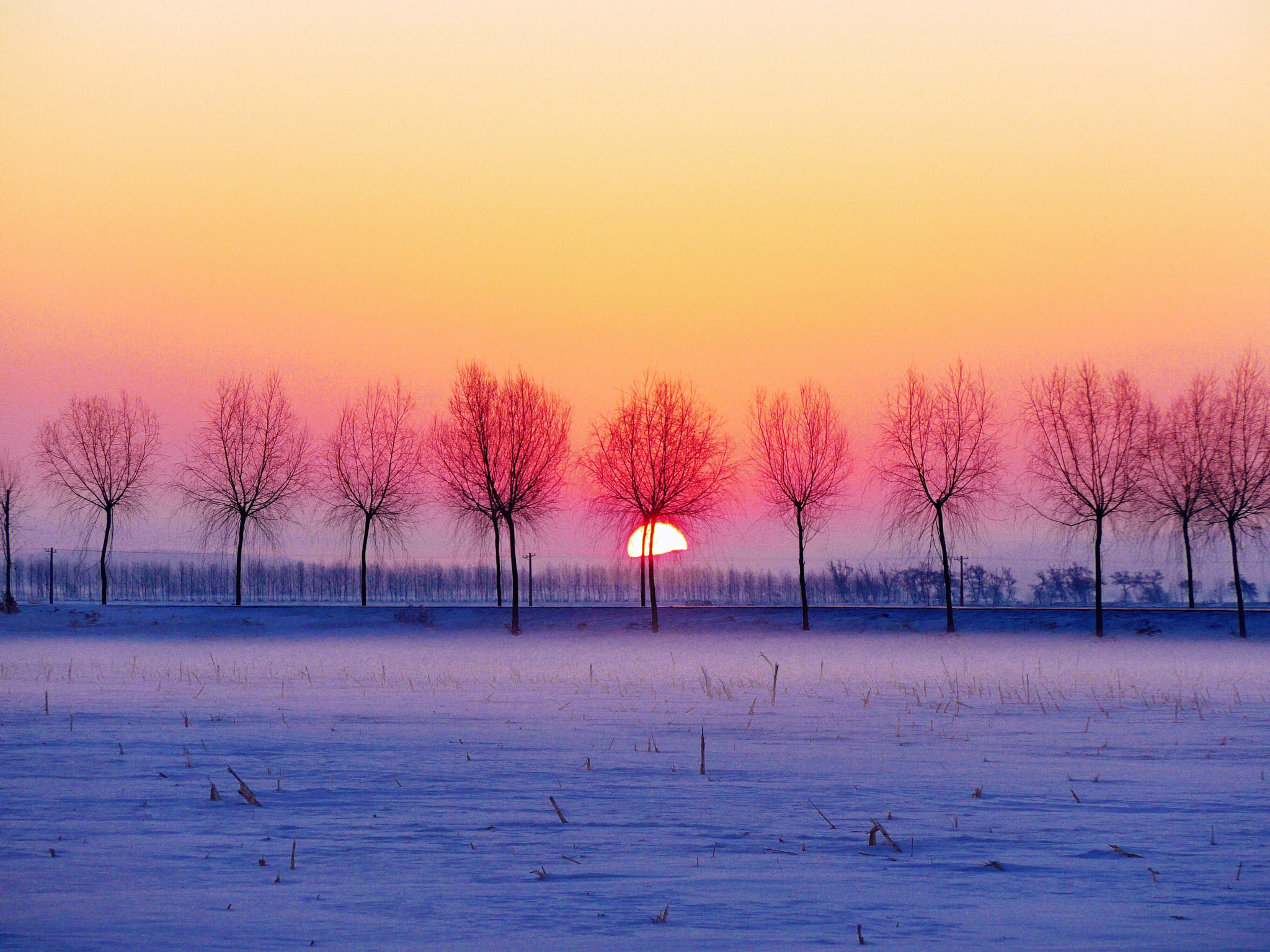 Leica C (Typ 112) sample photo. From the chinese rime island sunrise photography