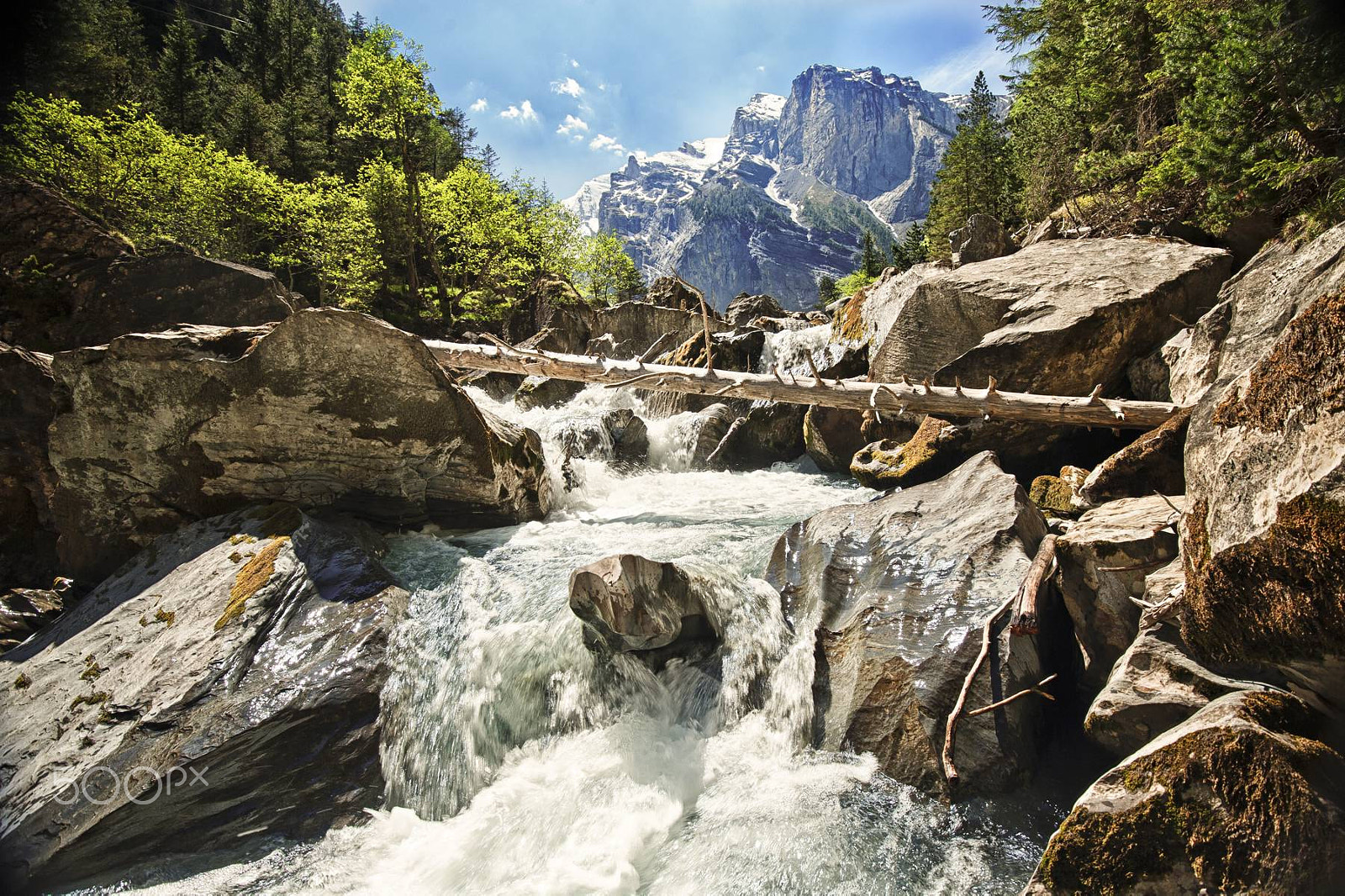 Nikon AF-S Nikkor 16-35mm F4G ED VR sample photo. Trunk crossing torrent photography