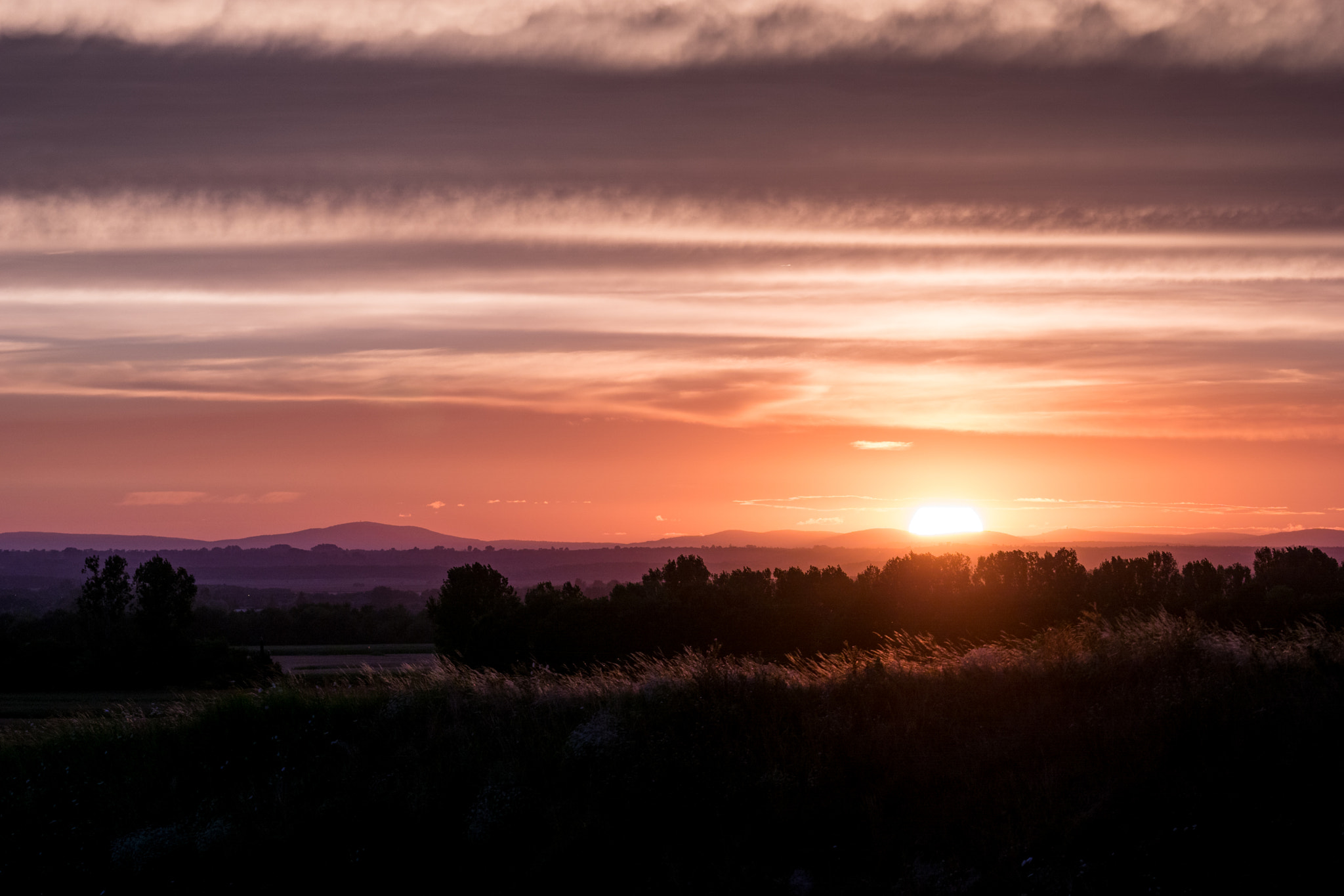 Sony a6000 + Sony FE 70-200mm F4 G OSS sample photo. Summer sunset photography