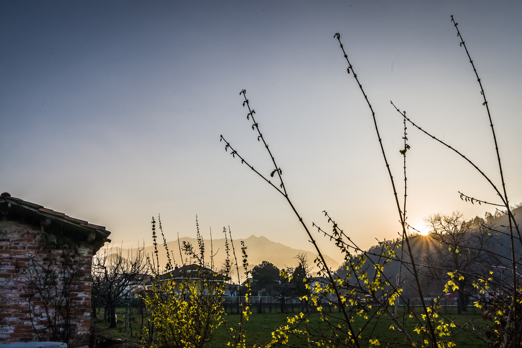 Canon EOS-1D Mark III sample photo. Sunset in jellow photography