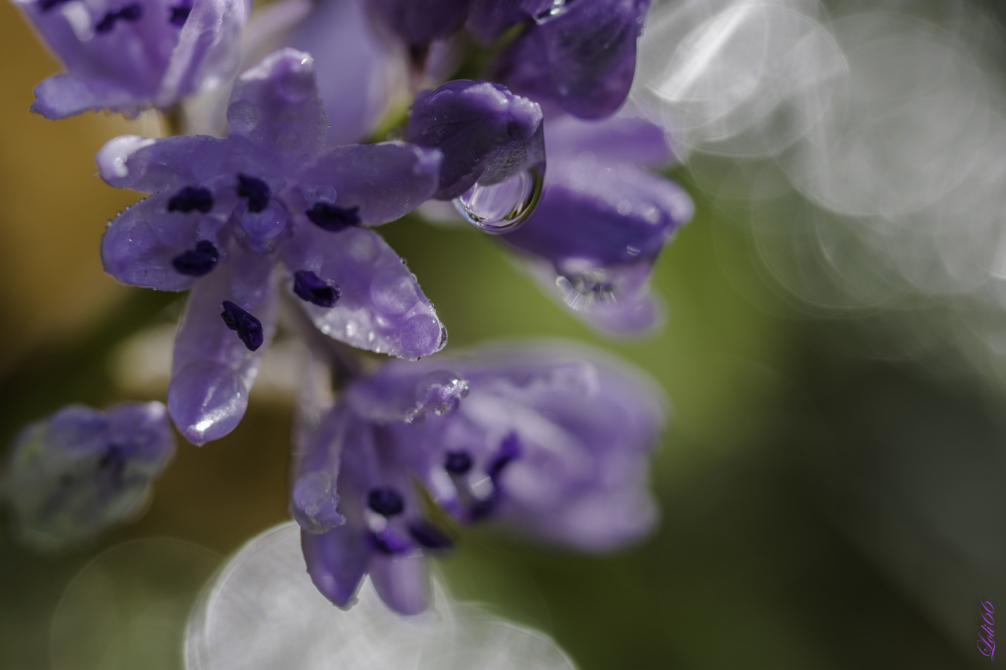 Nikon D7200 sample photo. Bienvenida primavera photography