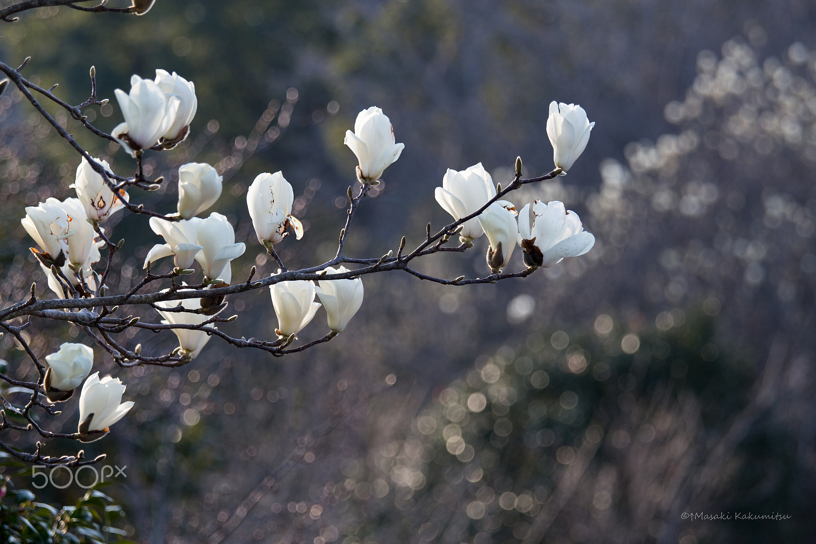 Canon EF 70-200mm F4L IS USM sample photo. Spin with light photography