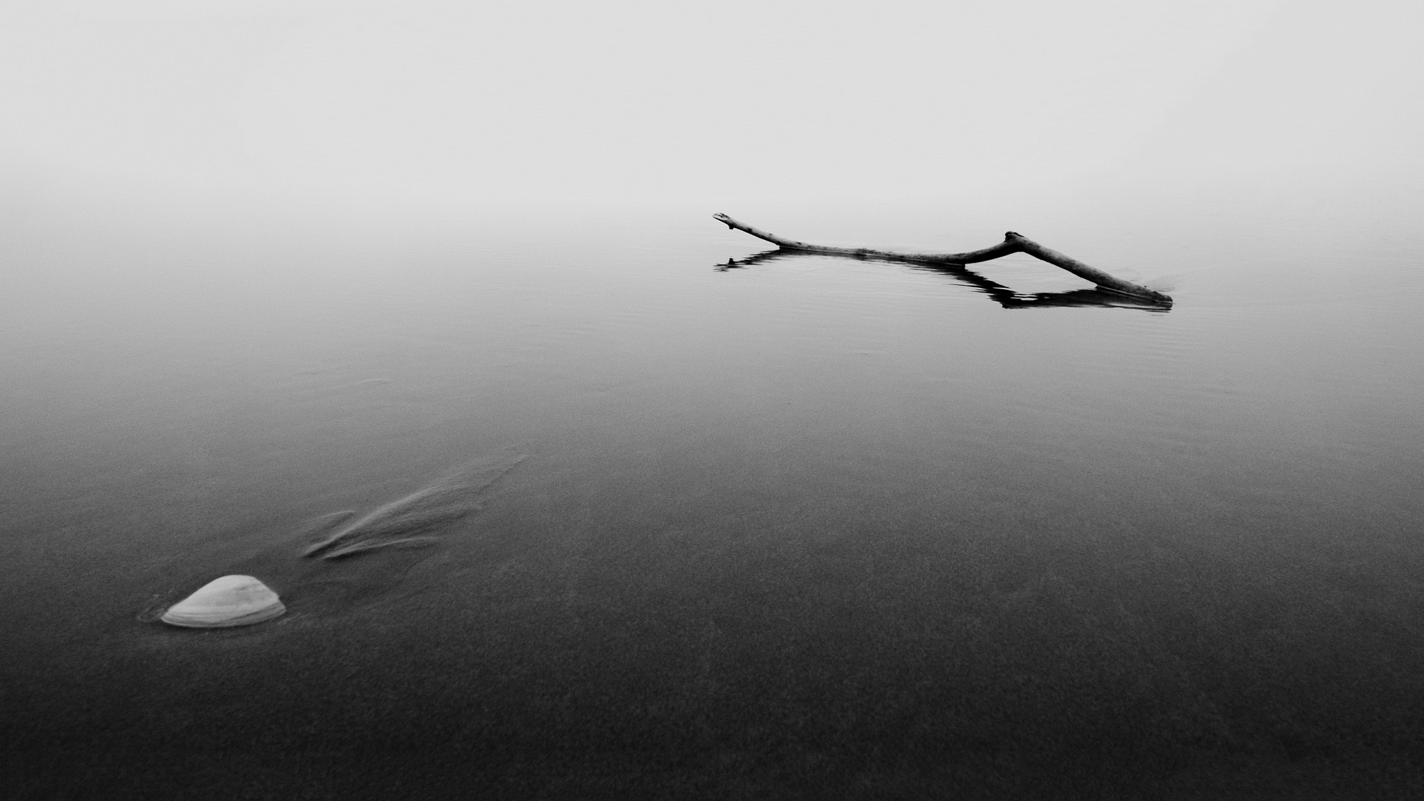 Fujifilm X-T1 + Fujifilm XF 14mm F2.8 R sample photo. Black vs white photography