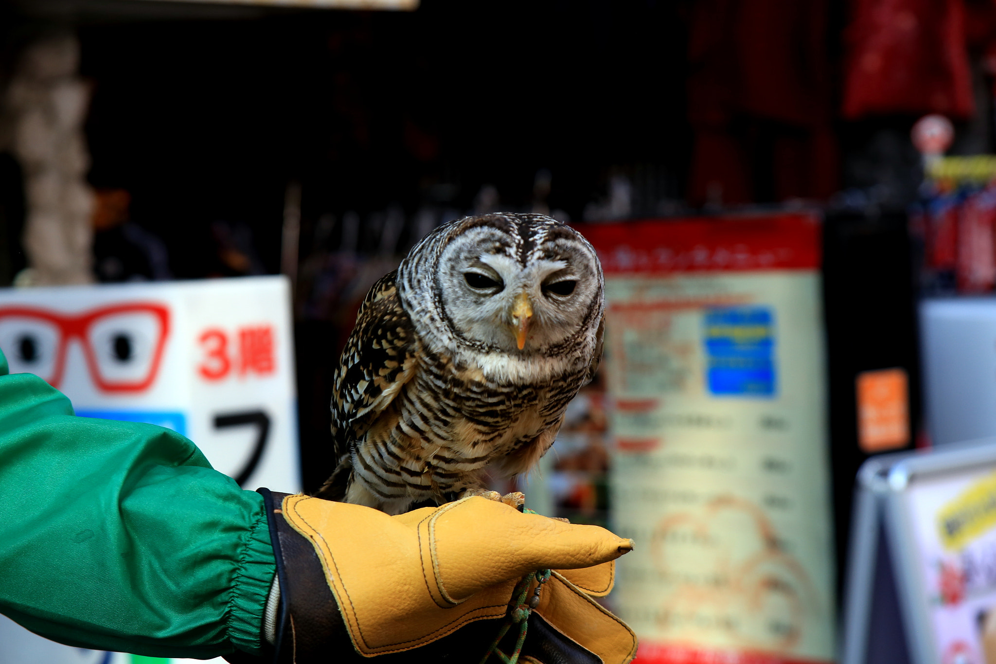 Canon EF 28-105mm f/3.5-4.5 USM sample photo. Salesowl photography