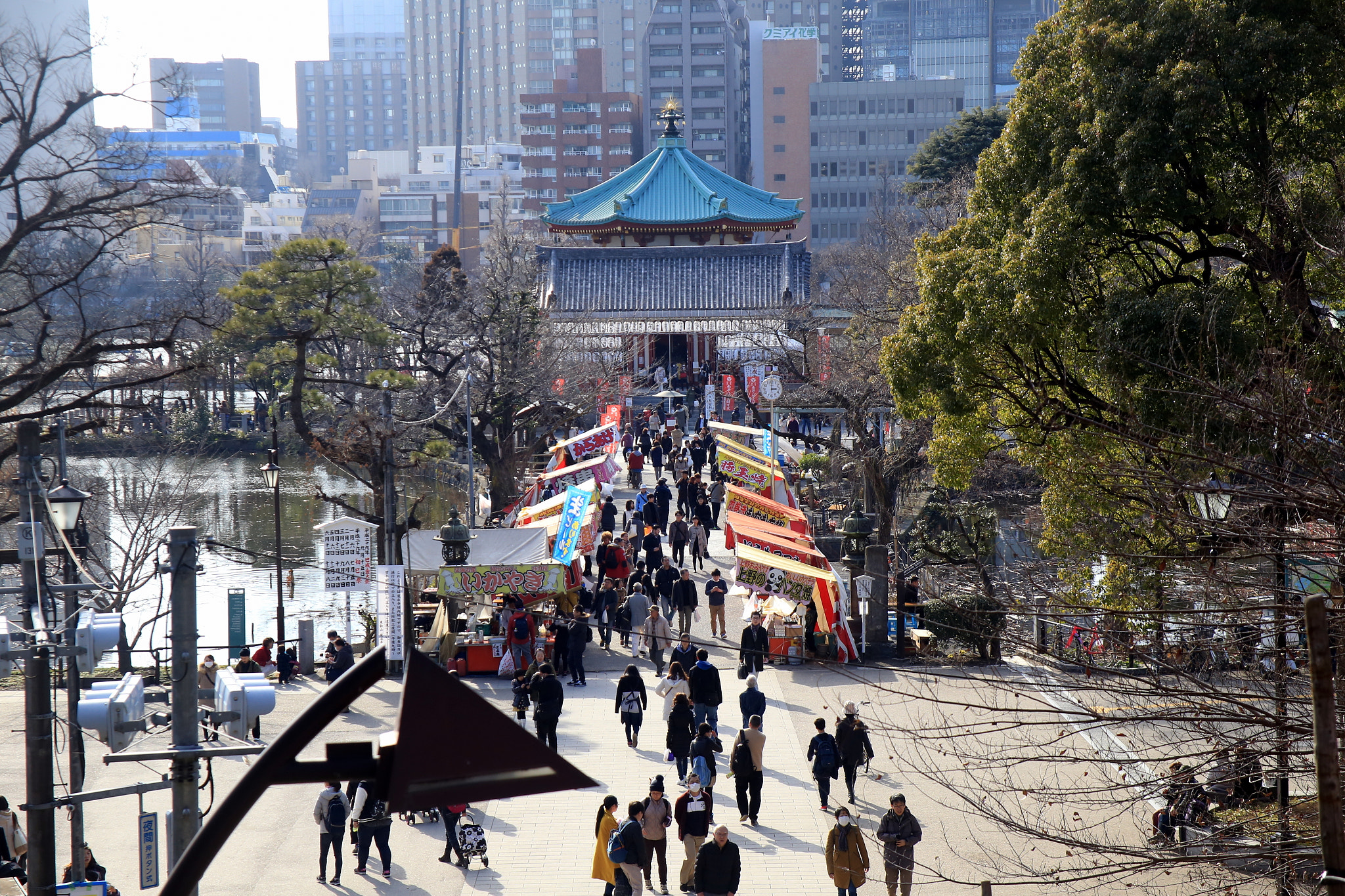 Canon EOS 6D + Canon EF 28-105mm f/3.5-4.5 USM sample photo. In the park photography