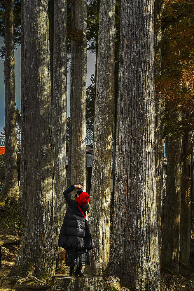 Nikon D4S sample photo. 采风 photography