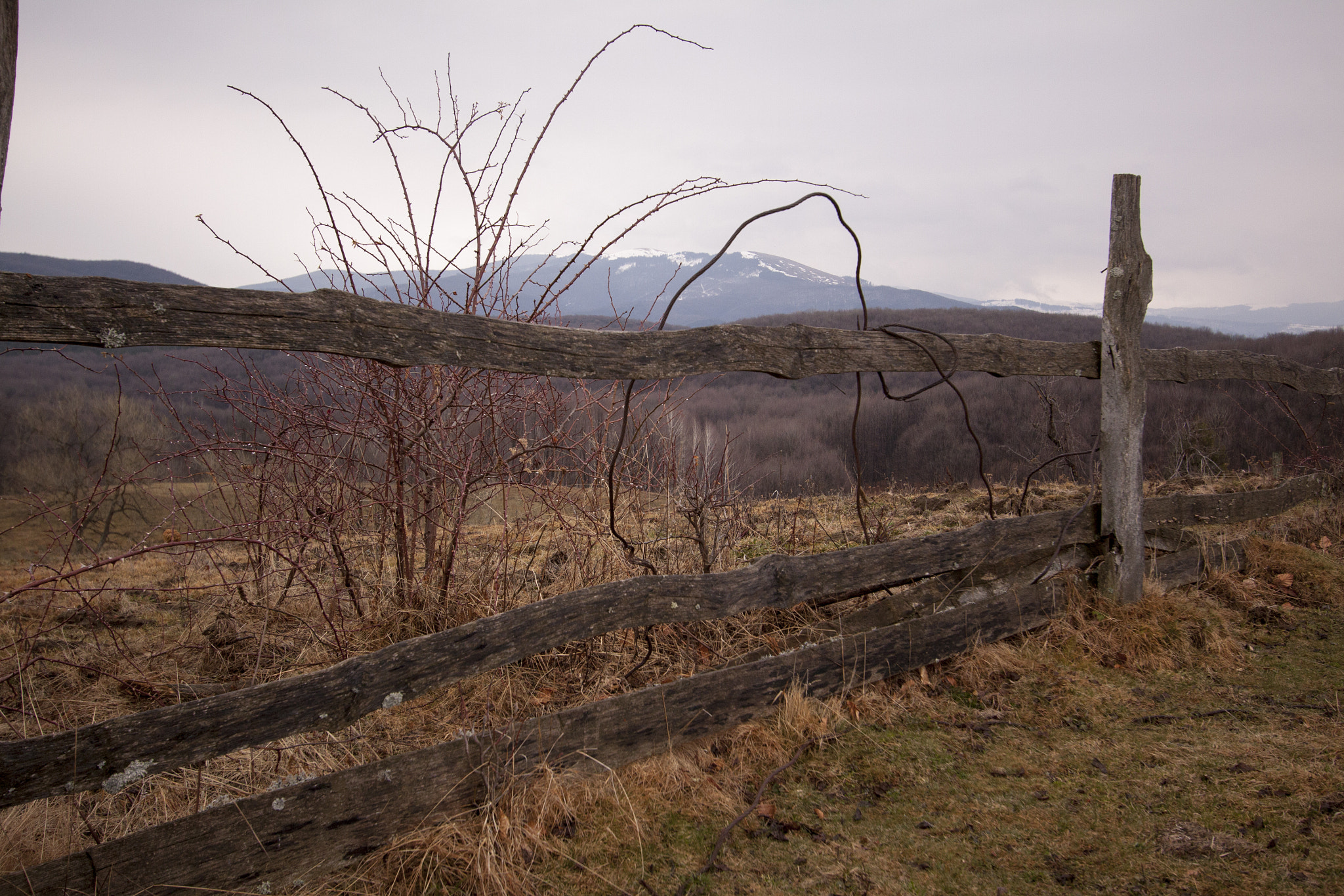 Canon EF-S 10-22mm F3.5-4.5 USM sample photo. Variation photography