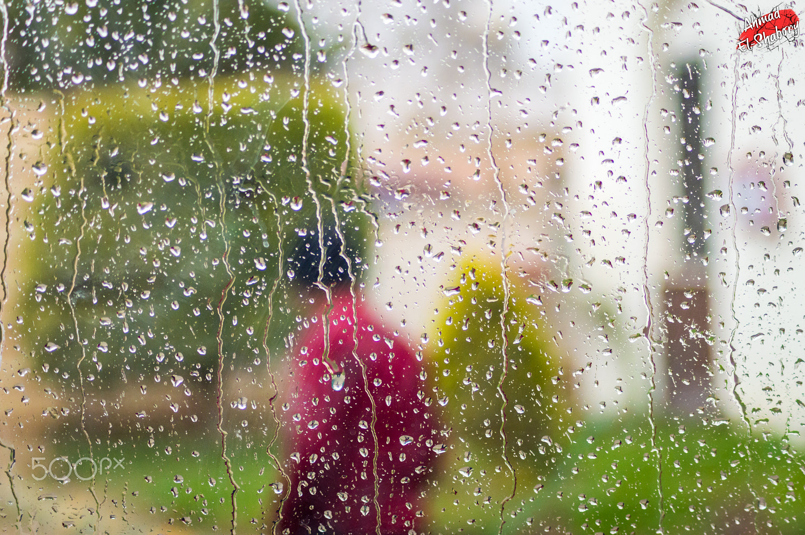 Nikon D3200 sample photo. Under the rain photography