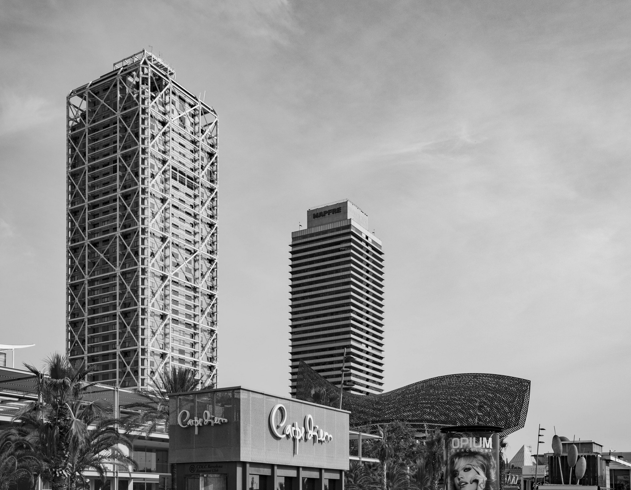 Canon EOS 750D (EOS Rebel T6i / EOS Kiss X8i) sample photo. B&w photography