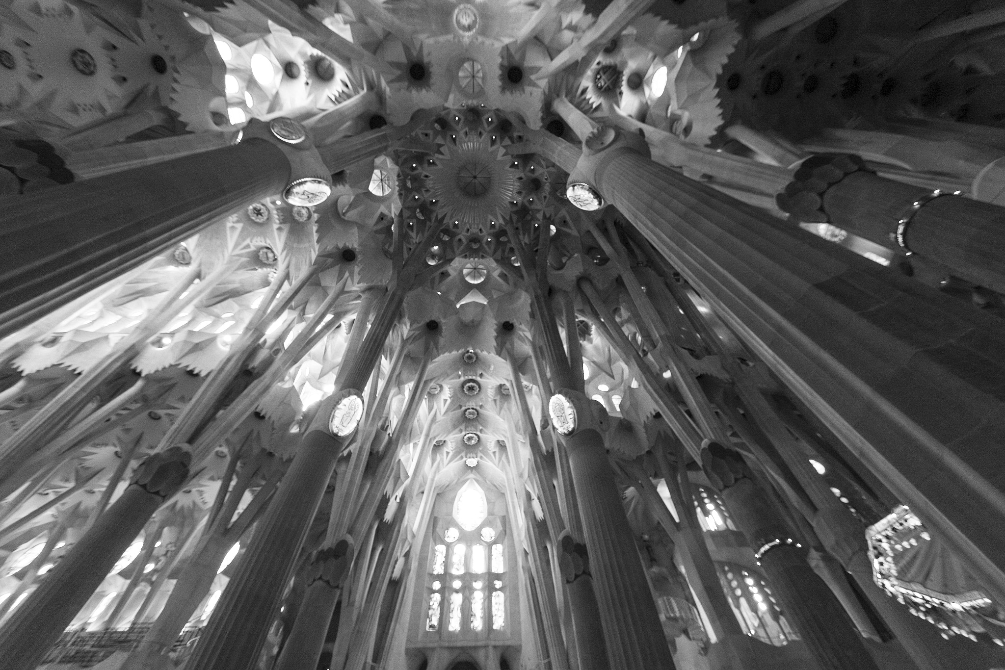 Canon EOS 750D (EOS Rebel T6i / EOS Kiss X8i) sample photo. B&w photography