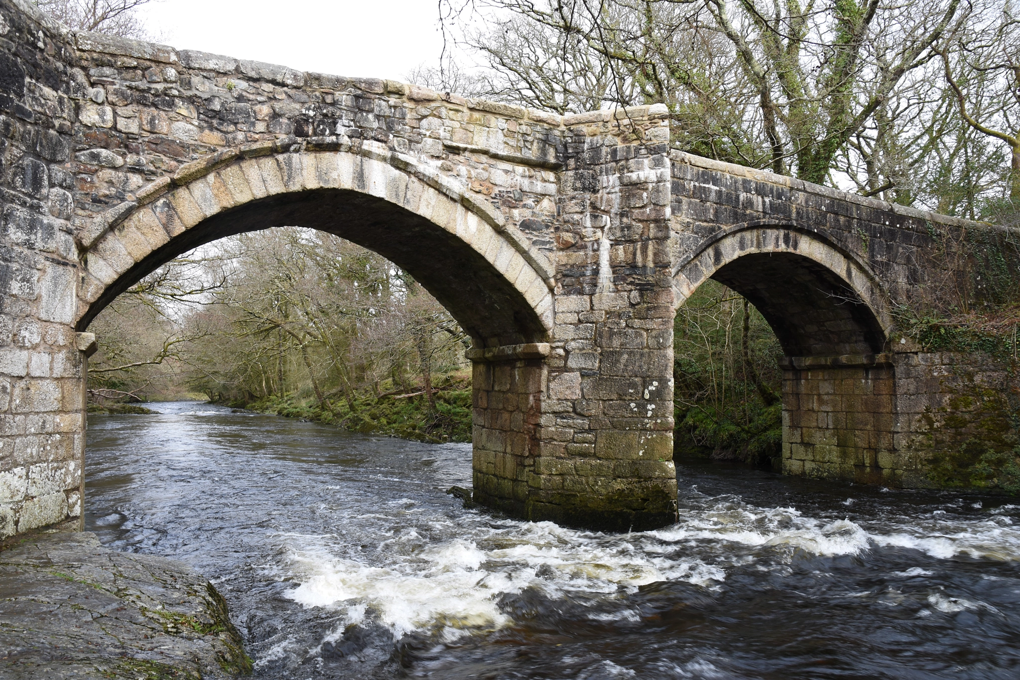Nikon D7200 sample photo. Newbridge, dartmoor photography