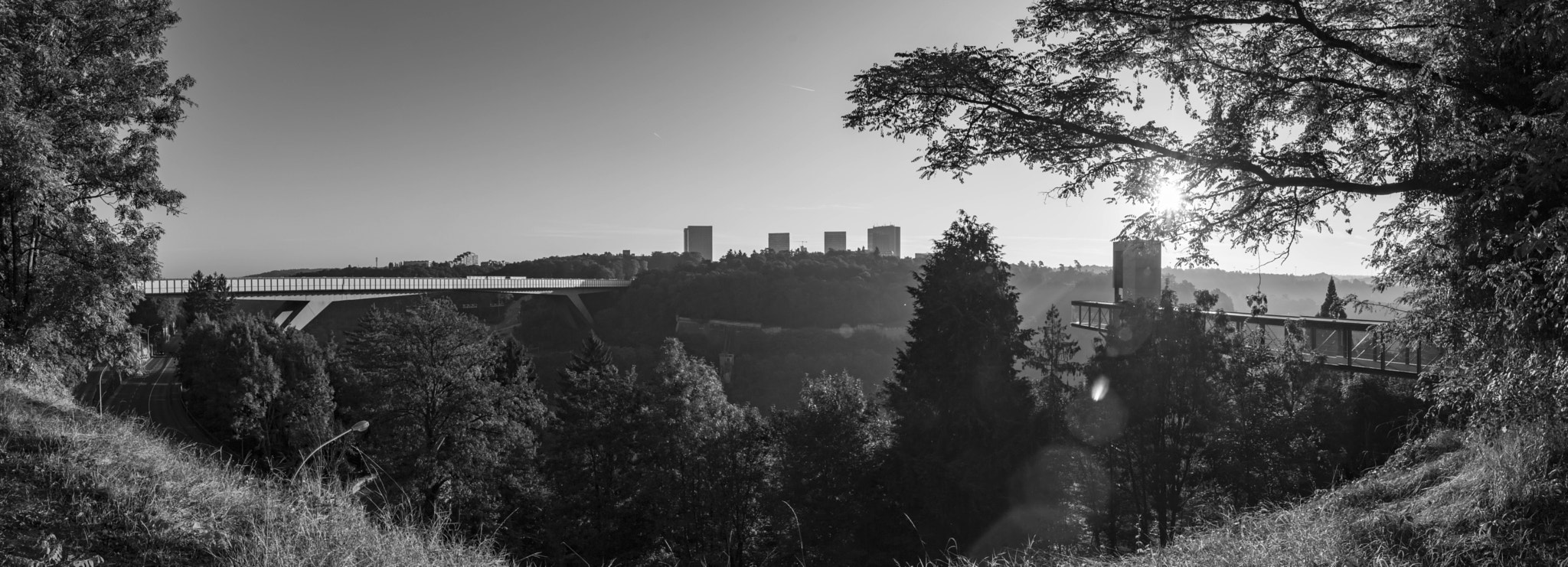 Sigma 18-250mm F3.5-6.3 DC OS HSM sample photo. B&w photography