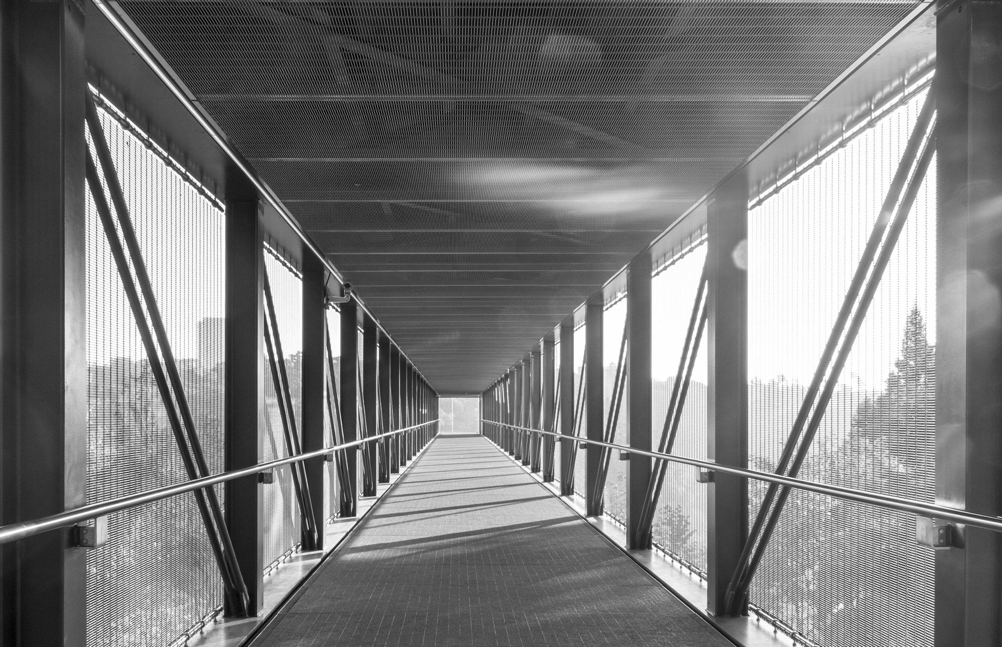 Sigma 18-250mm F3.5-6.3 DC OS HSM sample photo. B&w photography