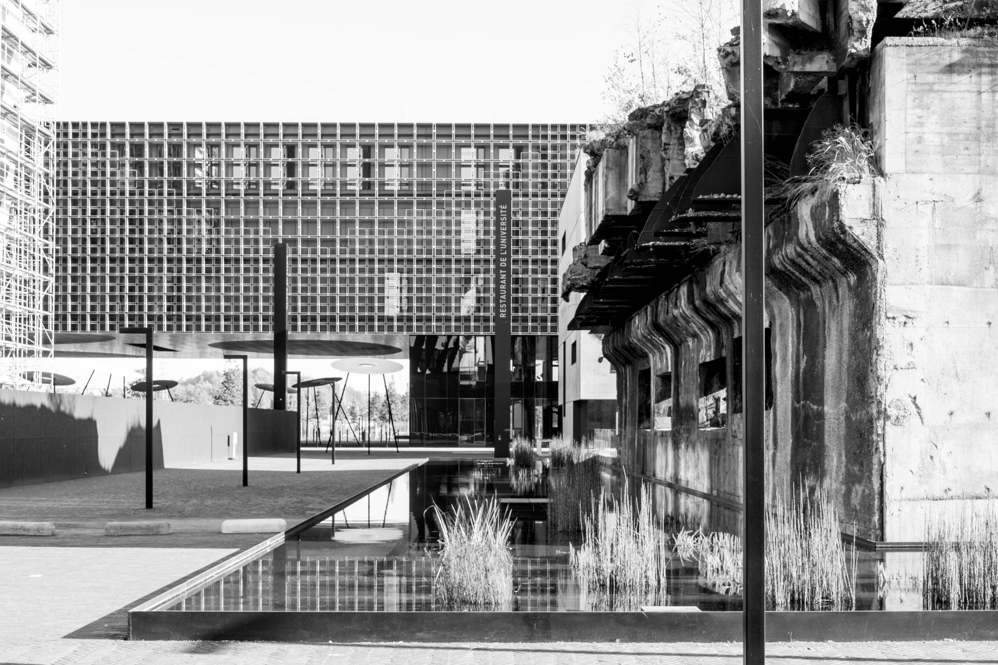 Canon EOS 750D (EOS Rebel T6i / EOS Kiss X8i) sample photo. B&w photography