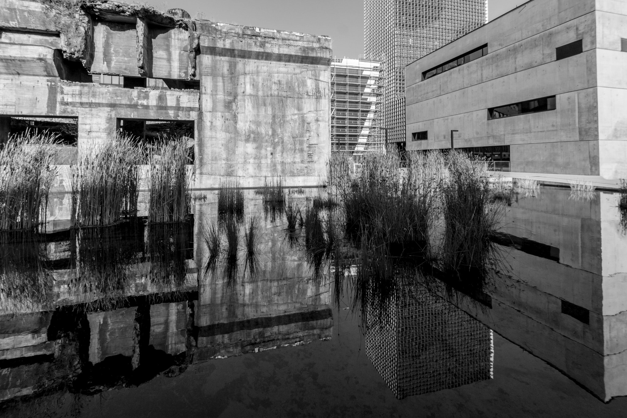 Canon EOS 750D (EOS Rebel T6i / EOS Kiss X8i) sample photo. B&w photography