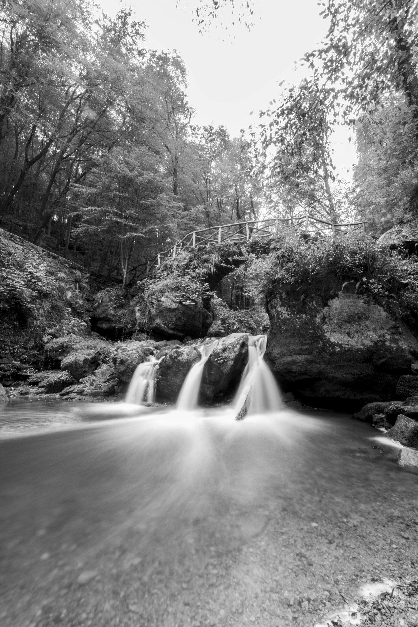 Canon EOS 750D (EOS Rebel T6i / EOS Kiss X8i) + Sigma 10-20mm F4-5.6 EX DC HSM sample photo. B&w photography