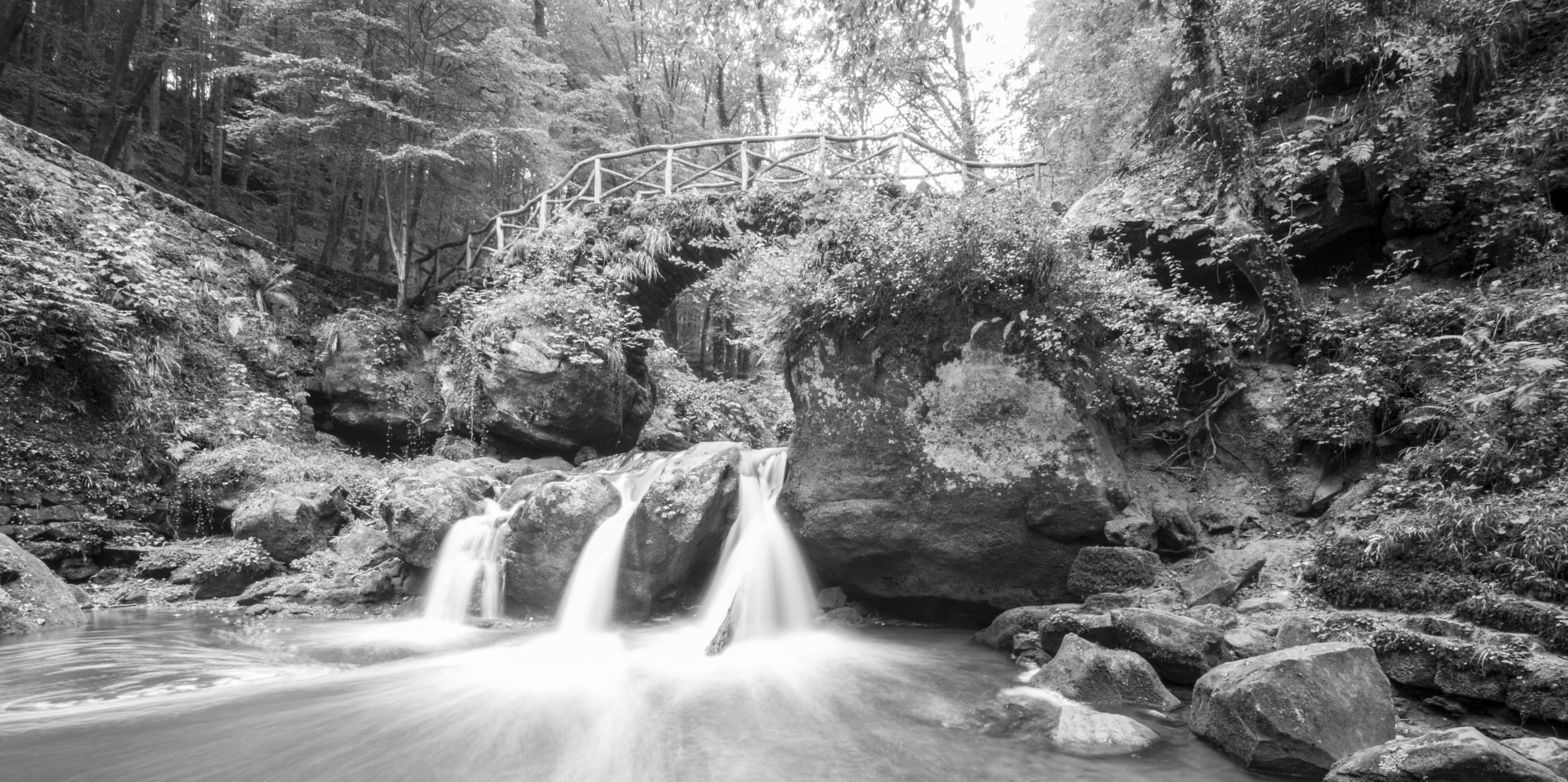 Canon EOS 750D (EOS Rebel T6i / EOS Kiss X8i) + Sigma 10-20mm F4-5.6 EX DC HSM sample photo. B&w photography