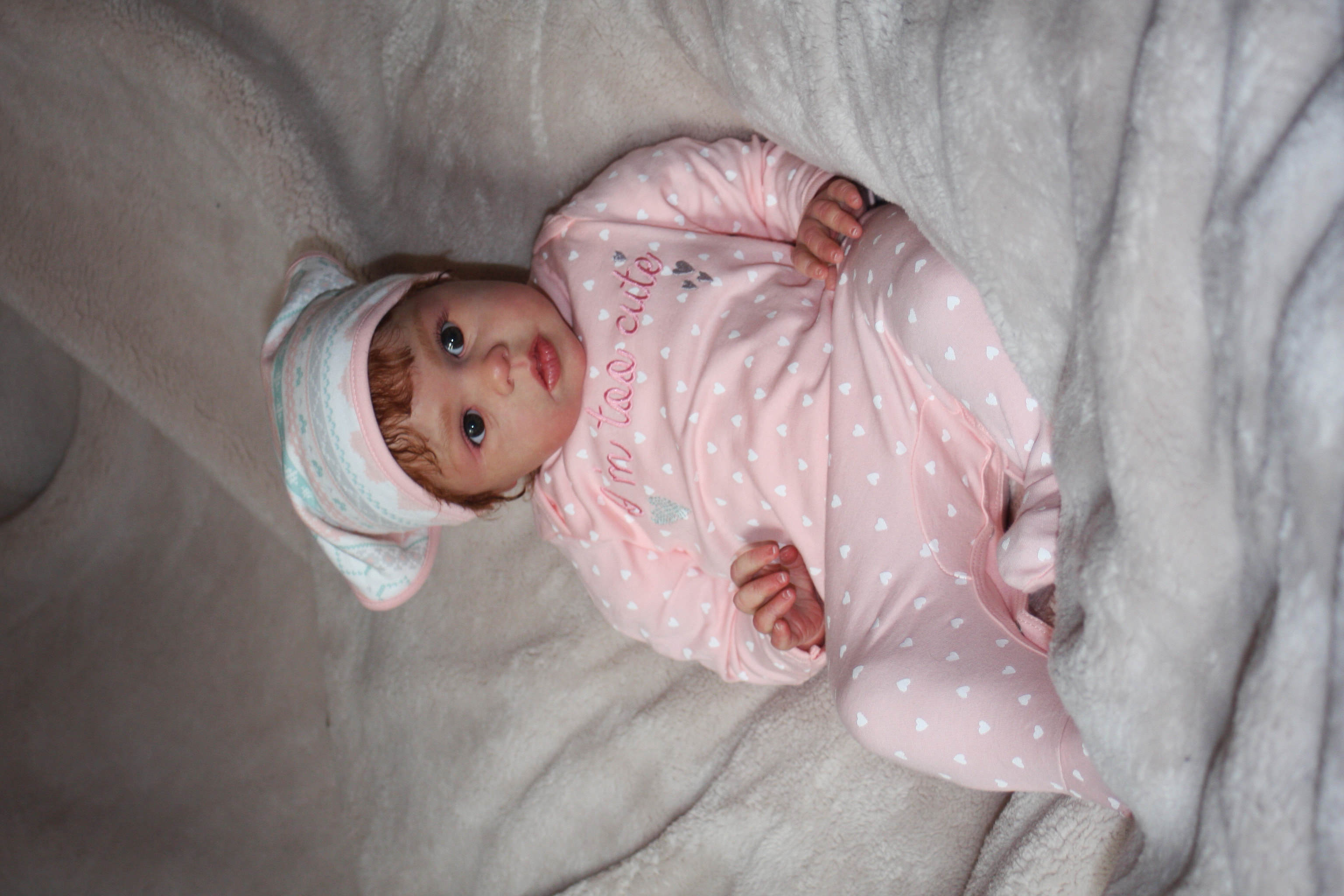 Canon EF 28-80mm f/3.5-5.6 sample photo. Img photography