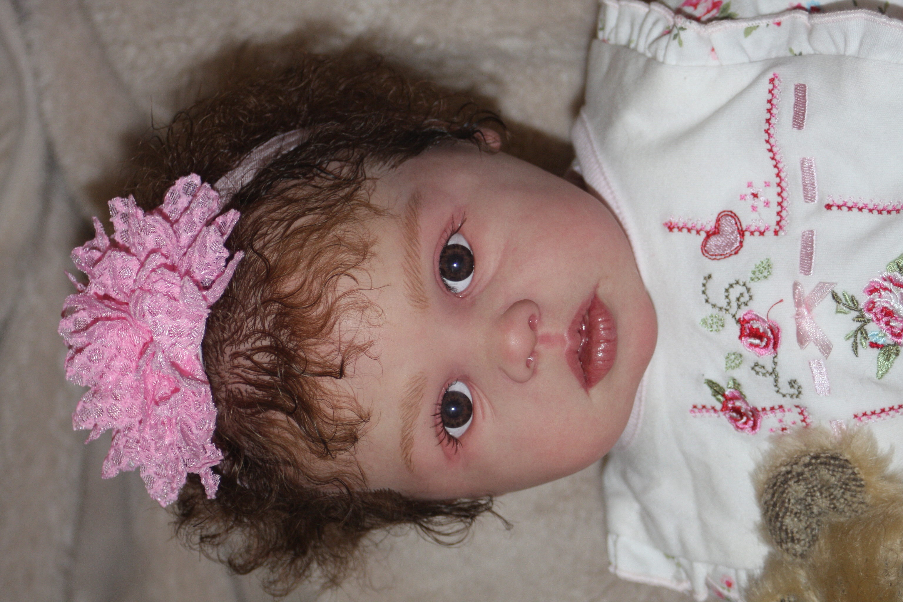 Canon EF 28-80mm f/3.5-5.6 sample photo. Img photography