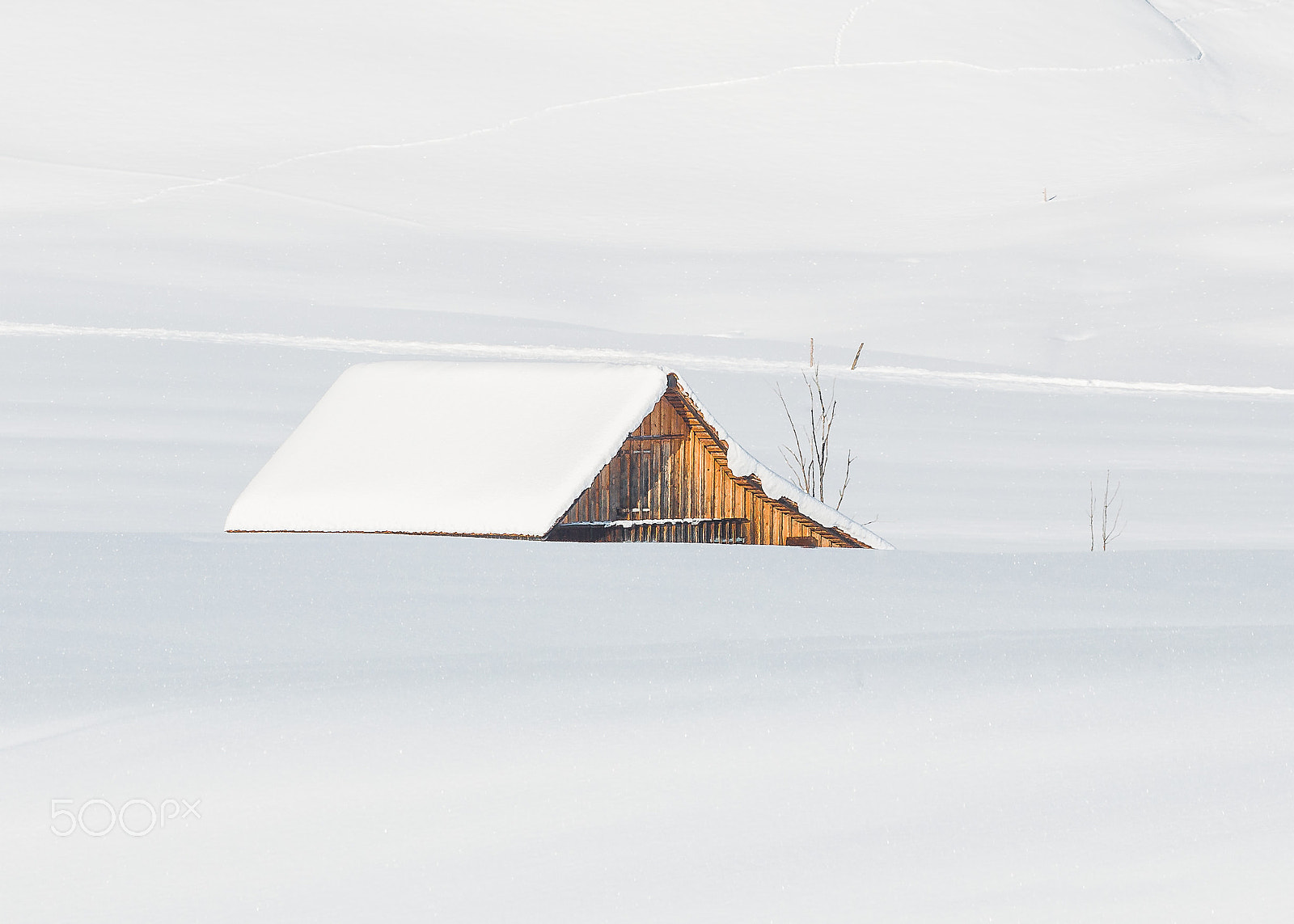 Canon EF 70-300mm F4-5.6 IS USM sample photo. Deep in the snow photography