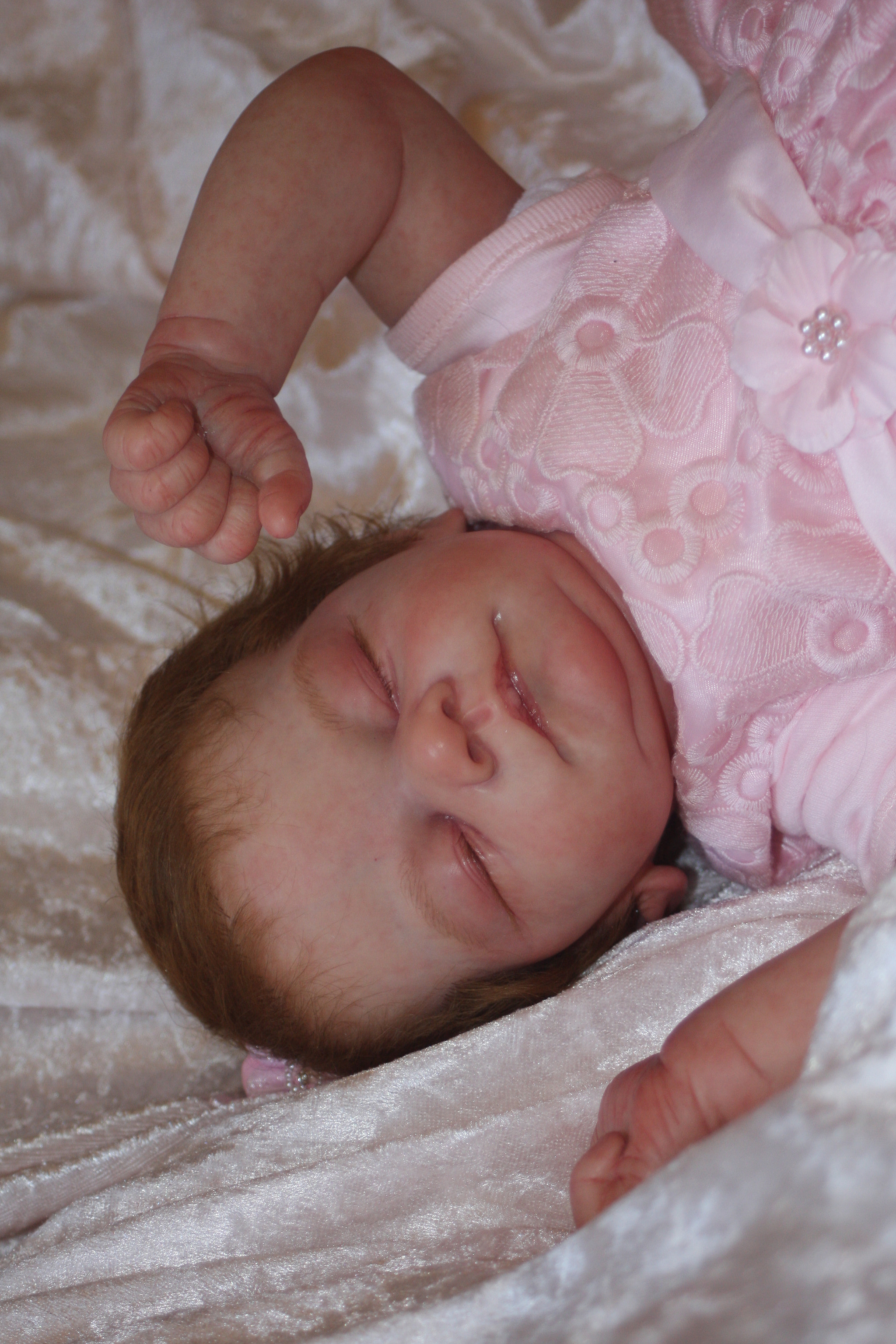 Canon EF 28-80mm f/3.5-5.6 sample photo. Img photography