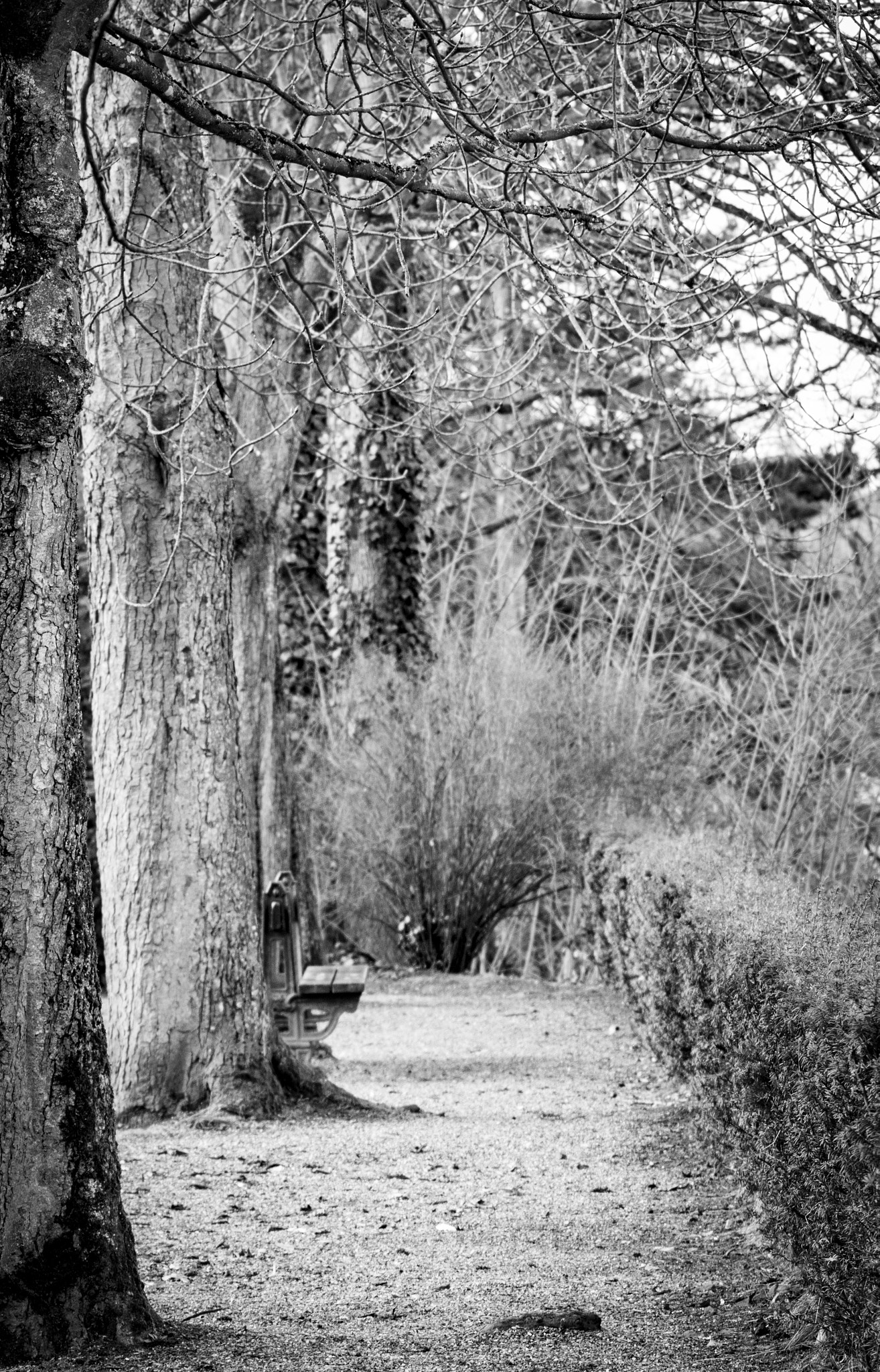 Canon EOS 750D (EOS Rebel T6i / EOS Kiss X8i) sample photo. B&w photography