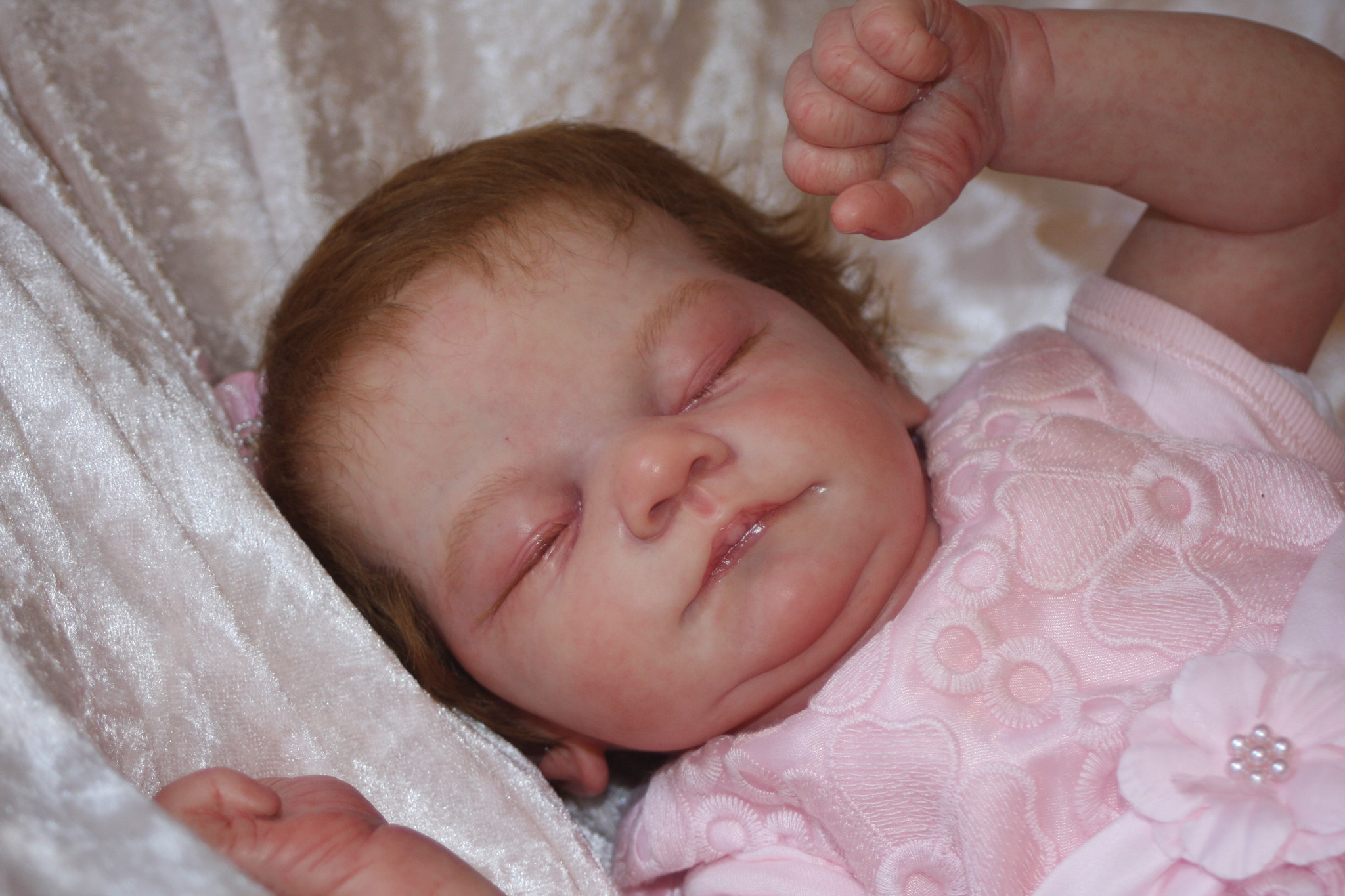 Canon EF 28-80mm f/3.5-5.6 sample photo. Img photography