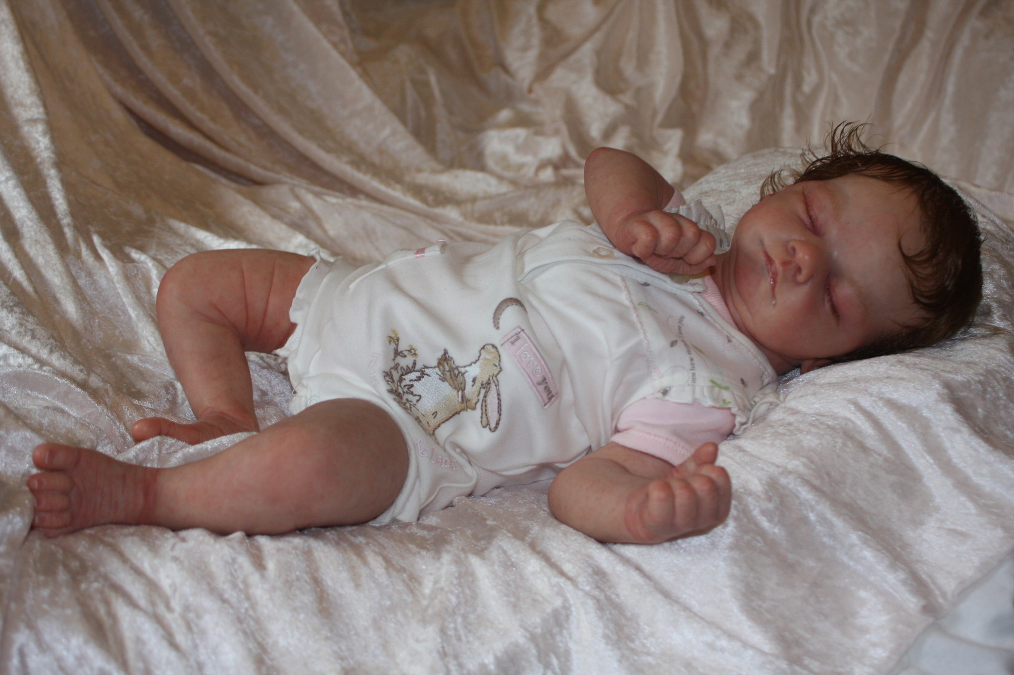 Canon EF 28-80mm f/3.5-5.6 sample photo. Img photography