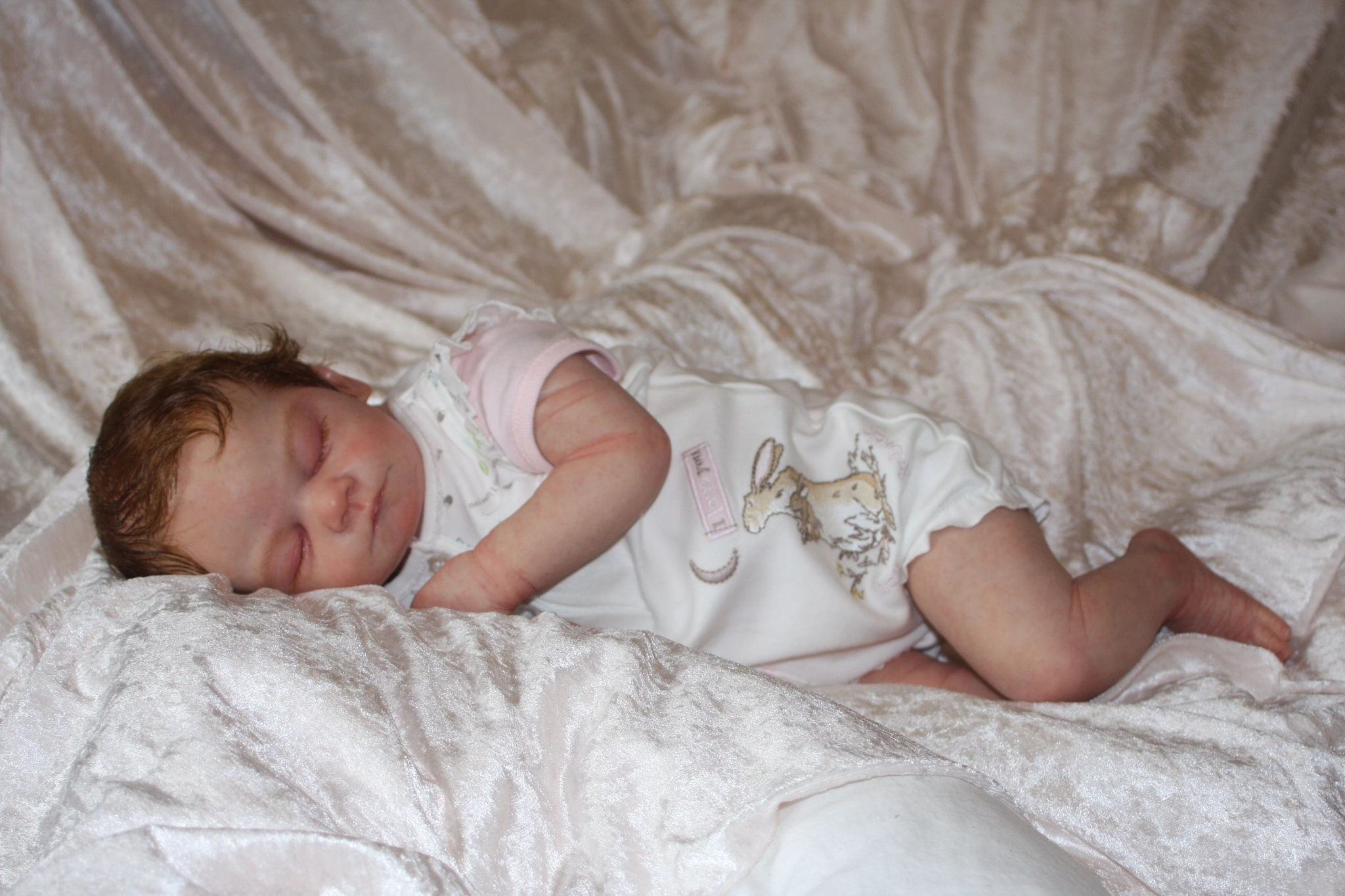 Canon EF 28-80mm f/3.5-5.6 sample photo. Img photography