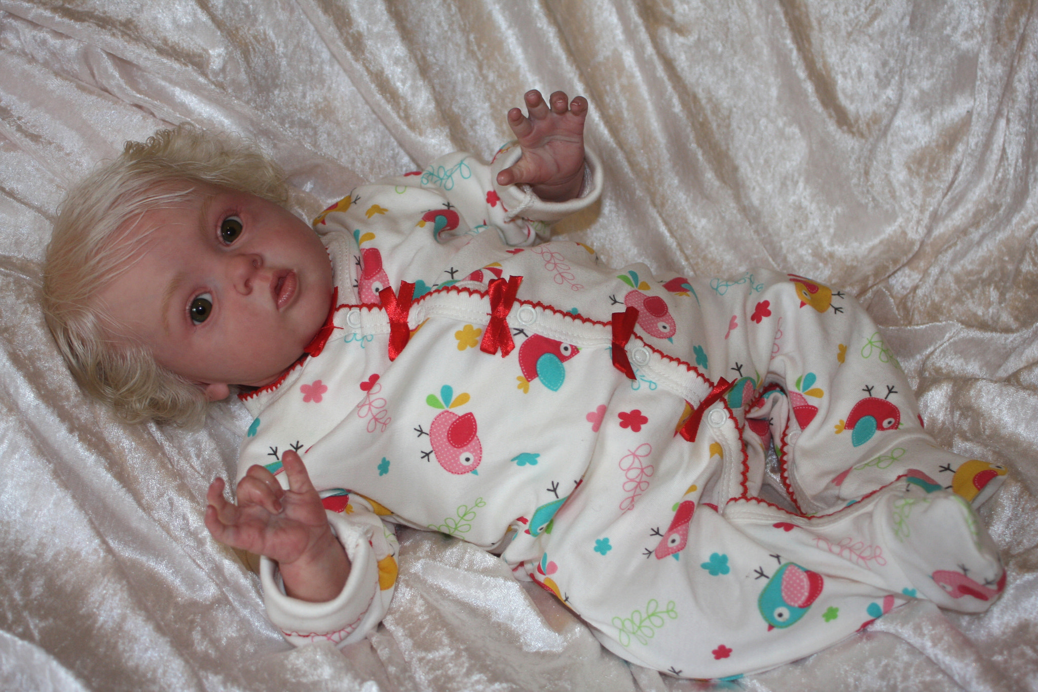 Canon EF 28-80mm f/3.5-5.6 sample photo. Img photography