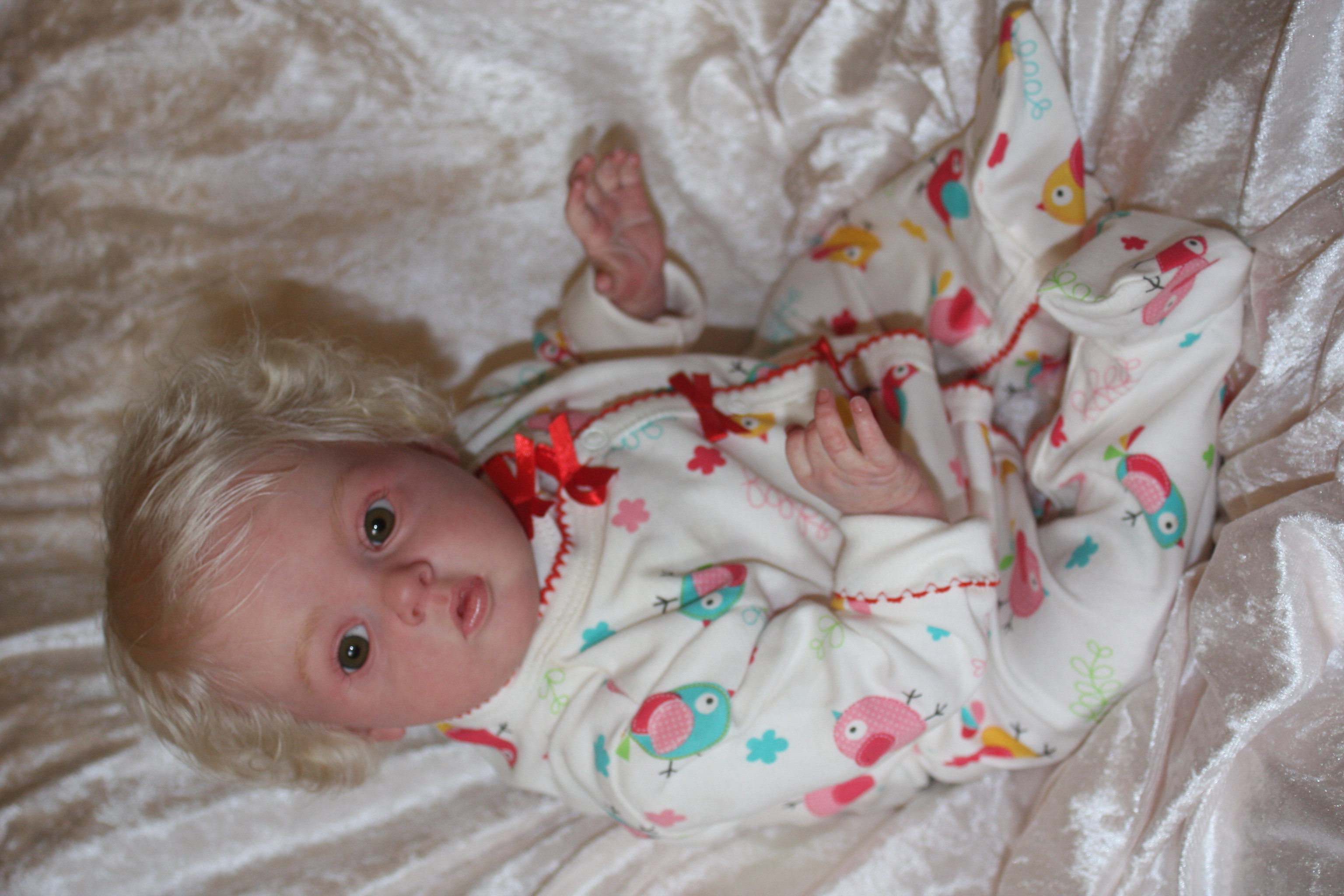 Canon EF 28-80mm f/3.5-5.6 sample photo. Img photography