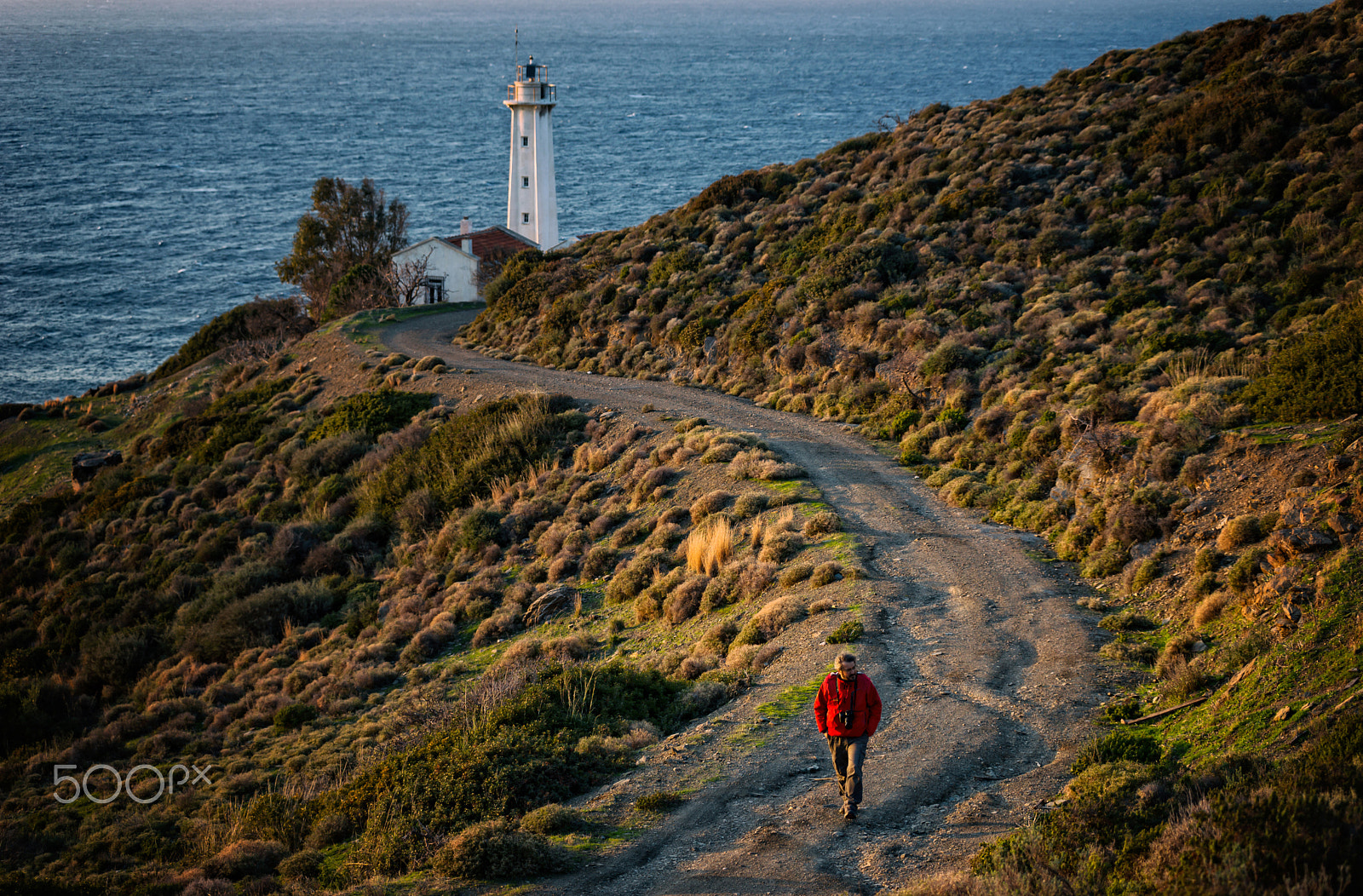 Sony a99 II sample photo. Road to lighthouse photography