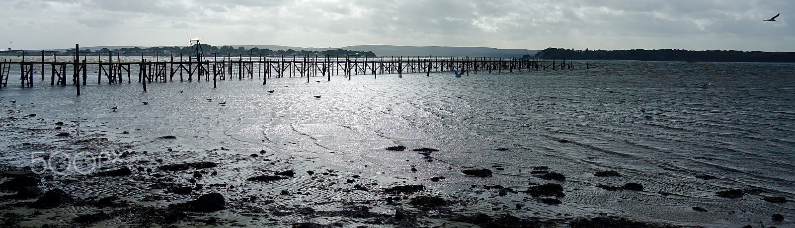 Sony 24-600mm F2.4-4.0 sample photo. The ebb tide......... photography