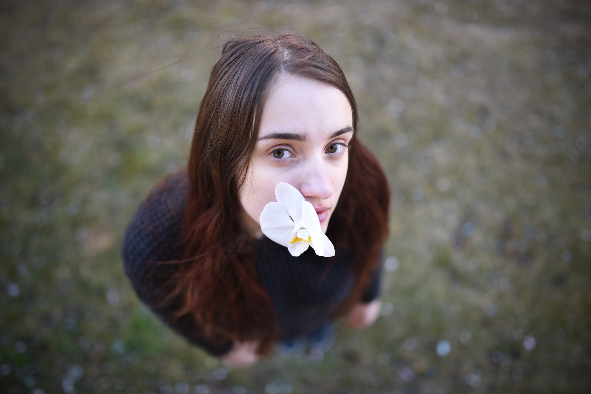 Nikon D810 + Sigma 35mm F1.4 DG HSM Art sample photo. Dsc_1516_01.jpg photography