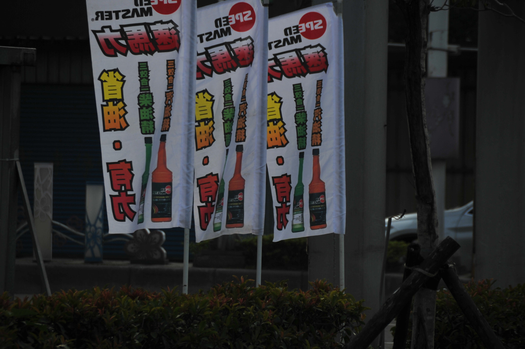 Nikon D3S sample photo. .. photography