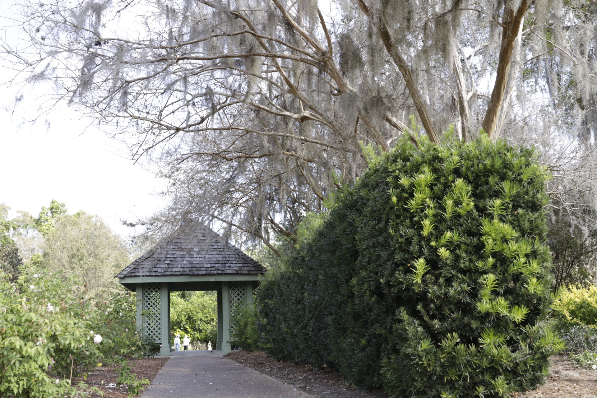 Canon EF 24-70mm F2.8L II USM sample photo