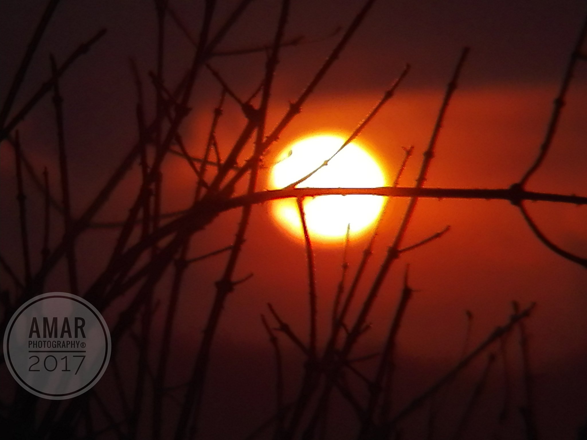 HUAWEI Cherry Mini sample photo. Sun set silhoutte photography