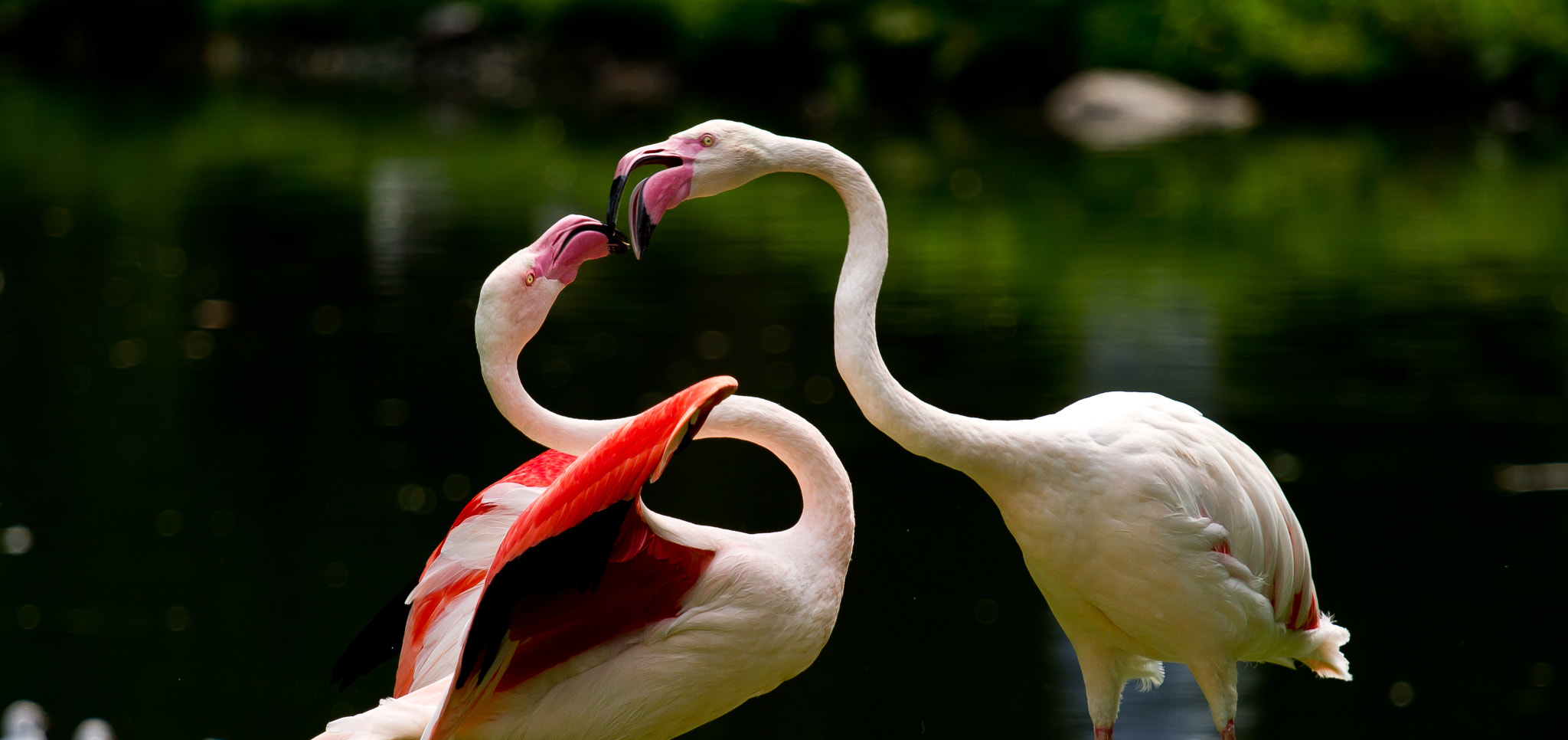 Canon EOS 7D + Canon EF 70-200mm F4L IS USM sample photo. Only you photography
