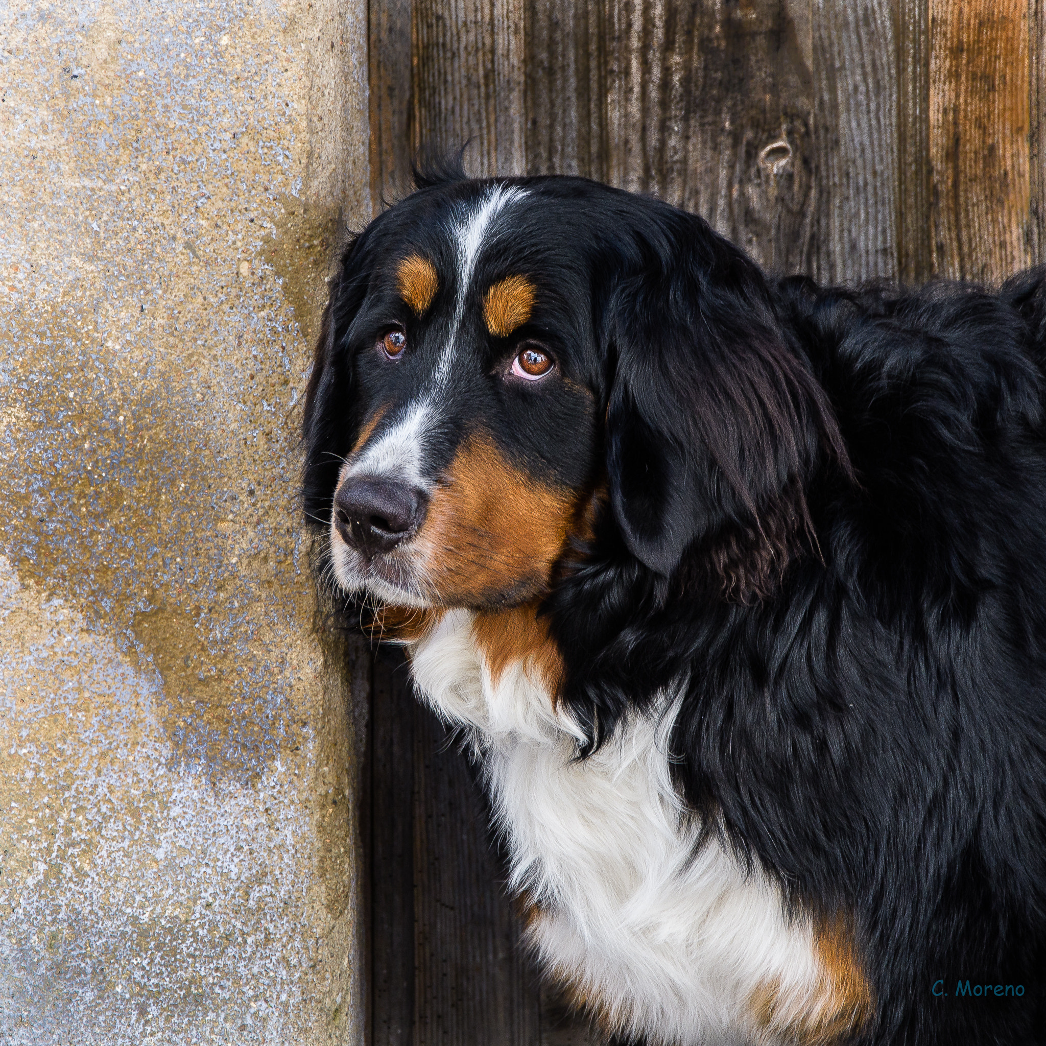 Nikon D500 sample photo. Nora photography