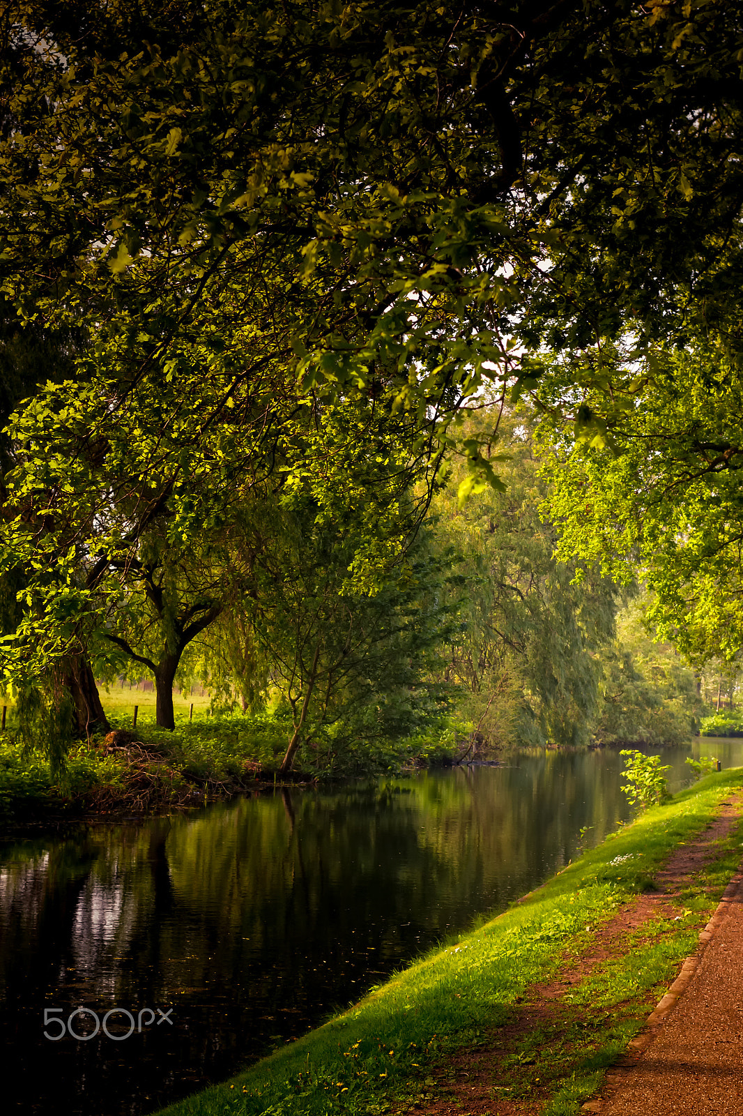 Canon EOS 50D + Canon EF 40mm F2.8 STM sample photo. Reflections on the canal water photography