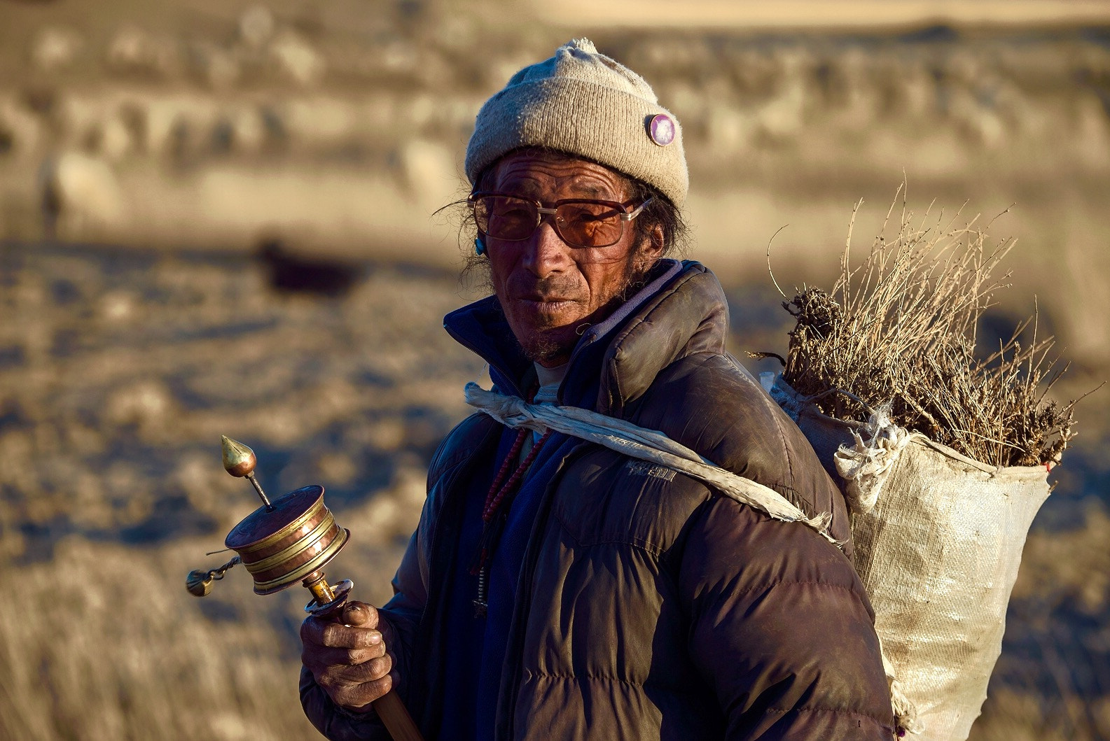 Nikon D4 sample photo. The shepherd-2 photography